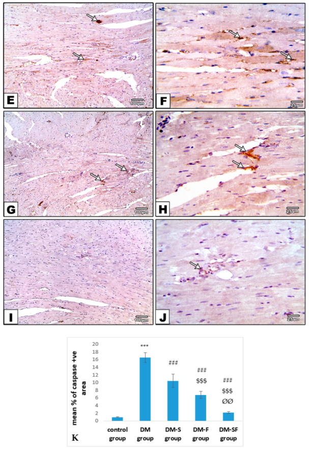 Metabolites 12 00635 g005b 550