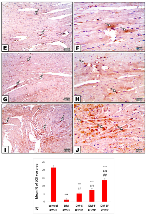 Metabolites 12 00635 g006b 550
