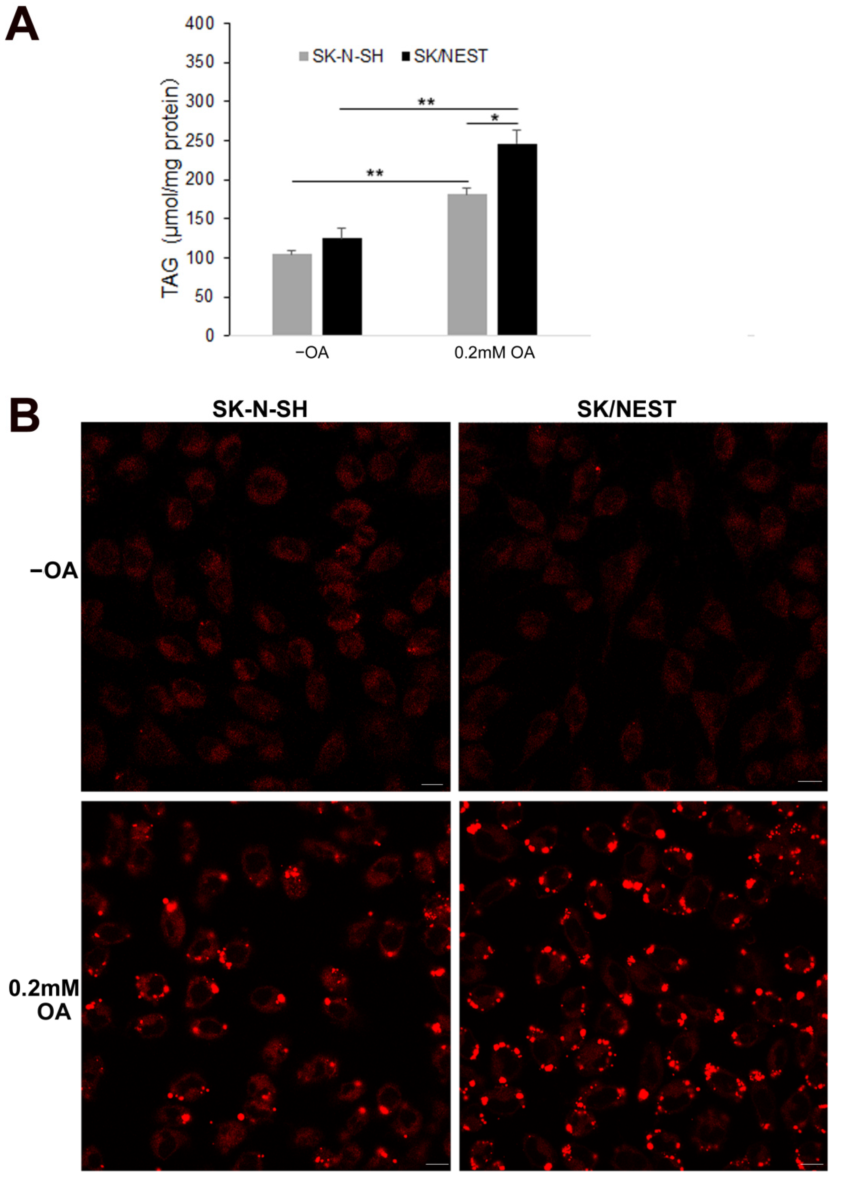 Metabolites 12 00637 g004