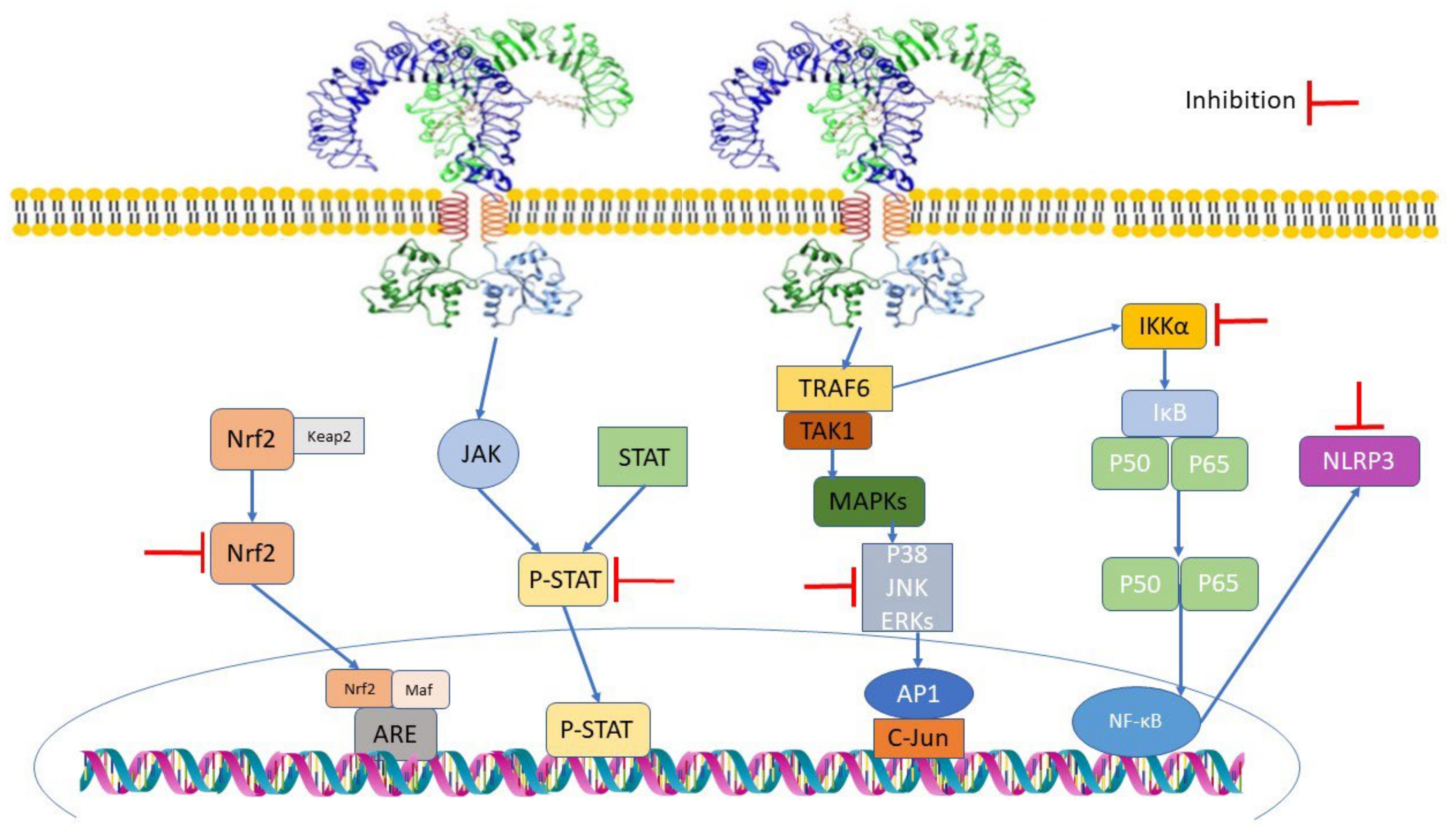 Metabolites 12 00639 g003