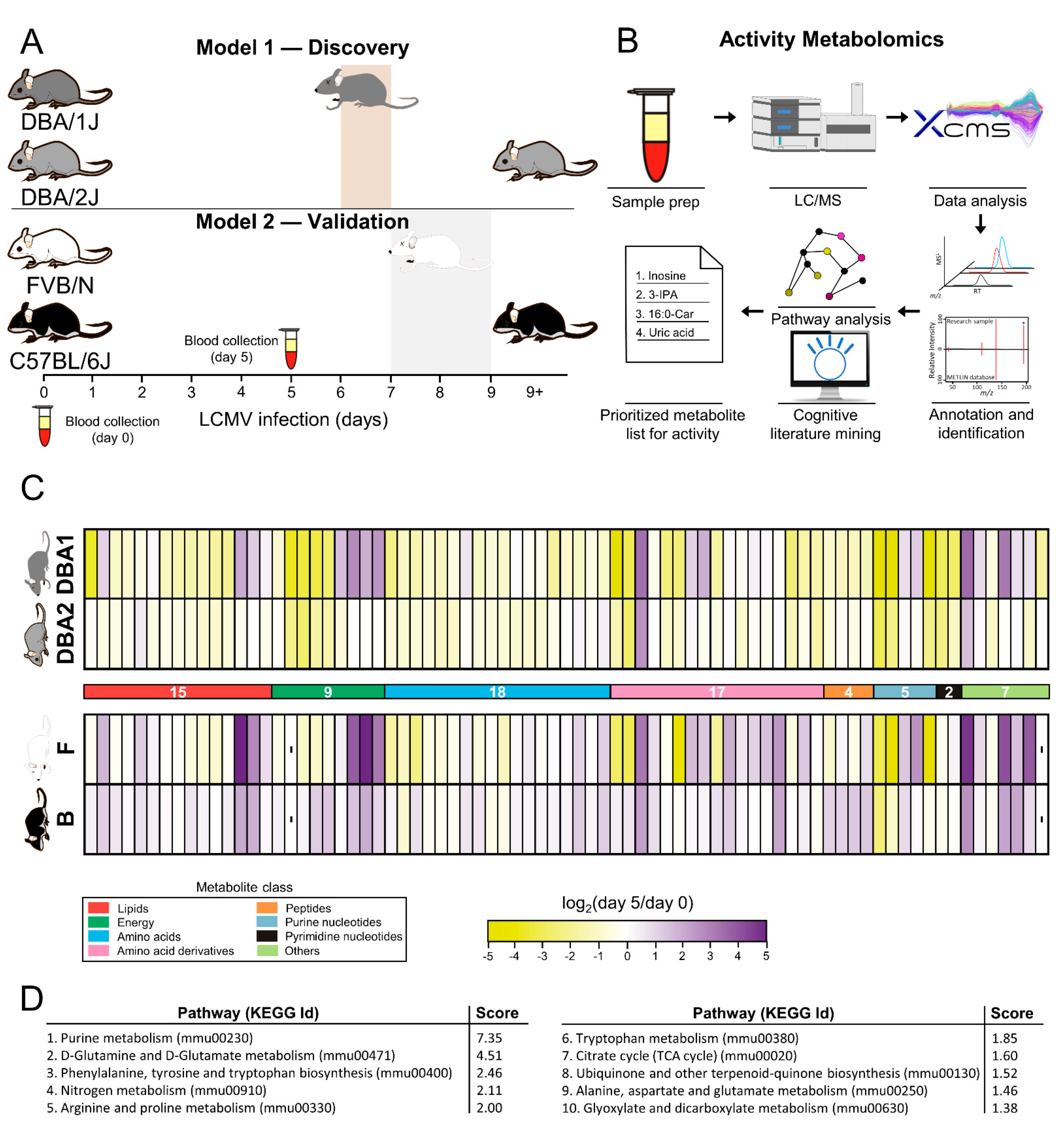 Metabolites 12 00645 g001