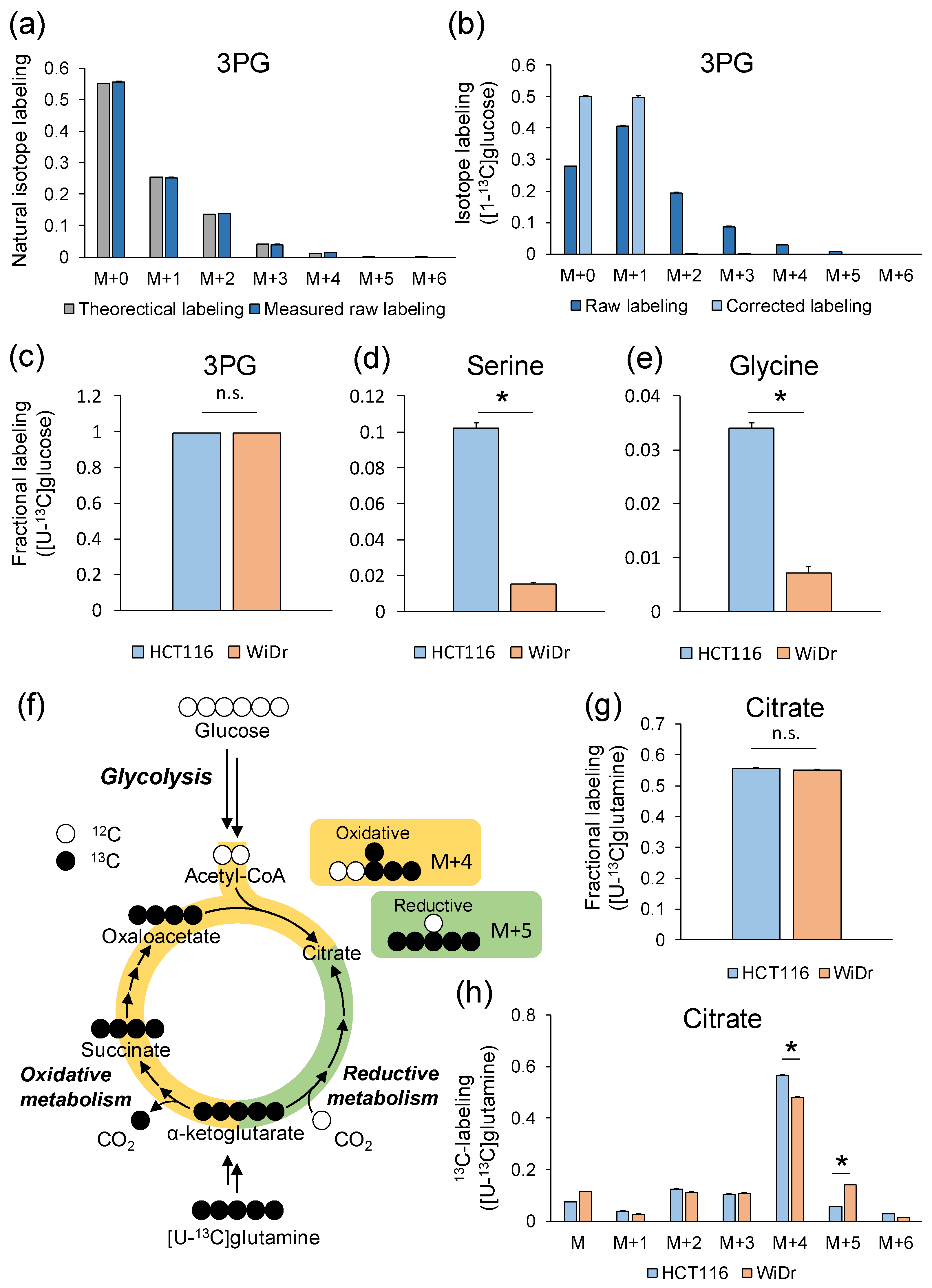 Metabolites 12 00646 g003