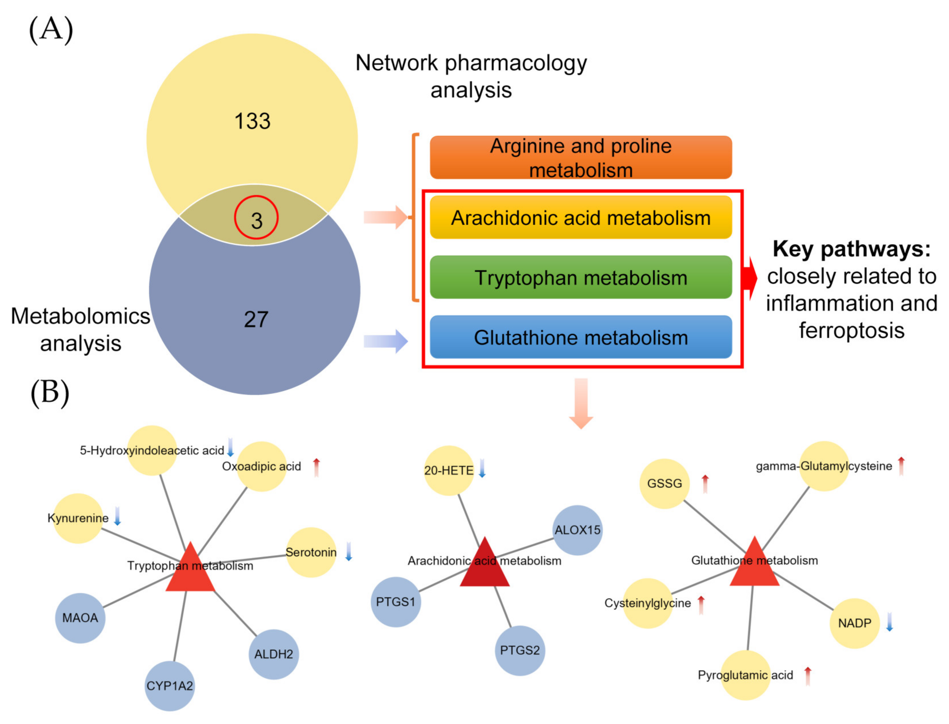 Metabolites 12 00653 g004 550