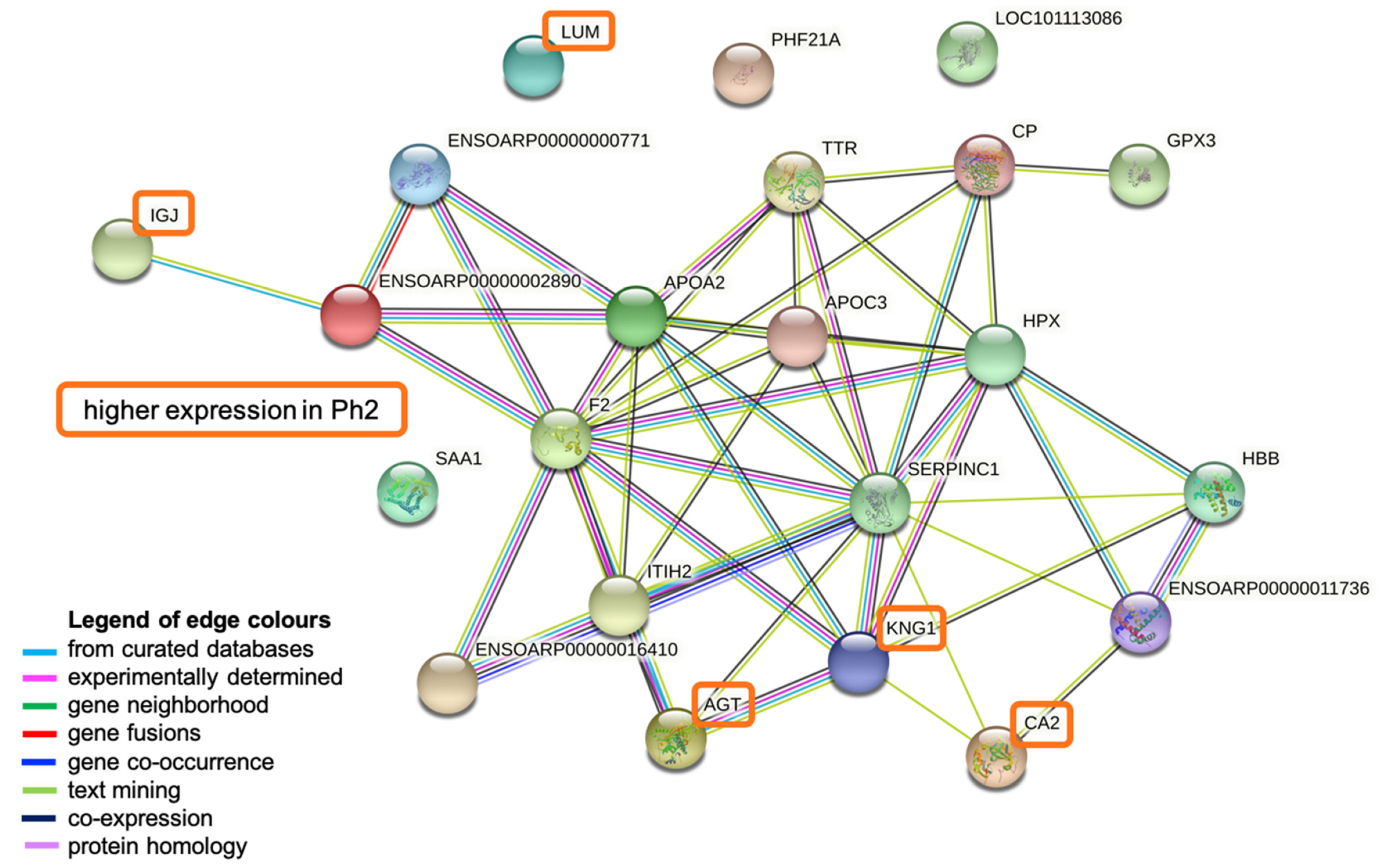 Metabolites 12 00655 g005 Metabolites 12 00655 g005