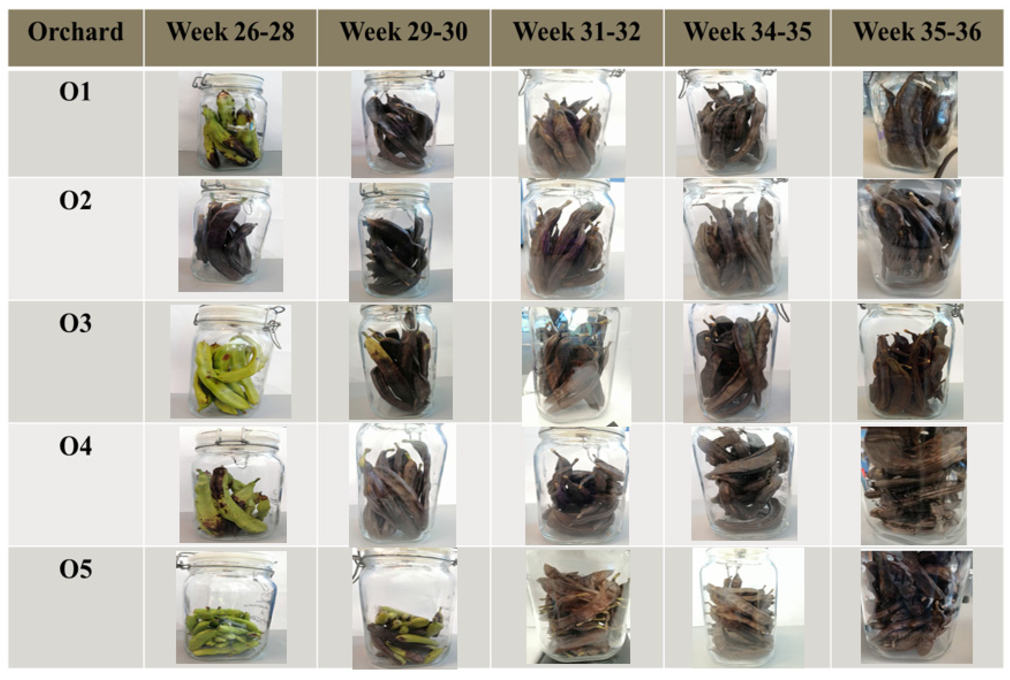 Metabolites 12 00656 g001 550
