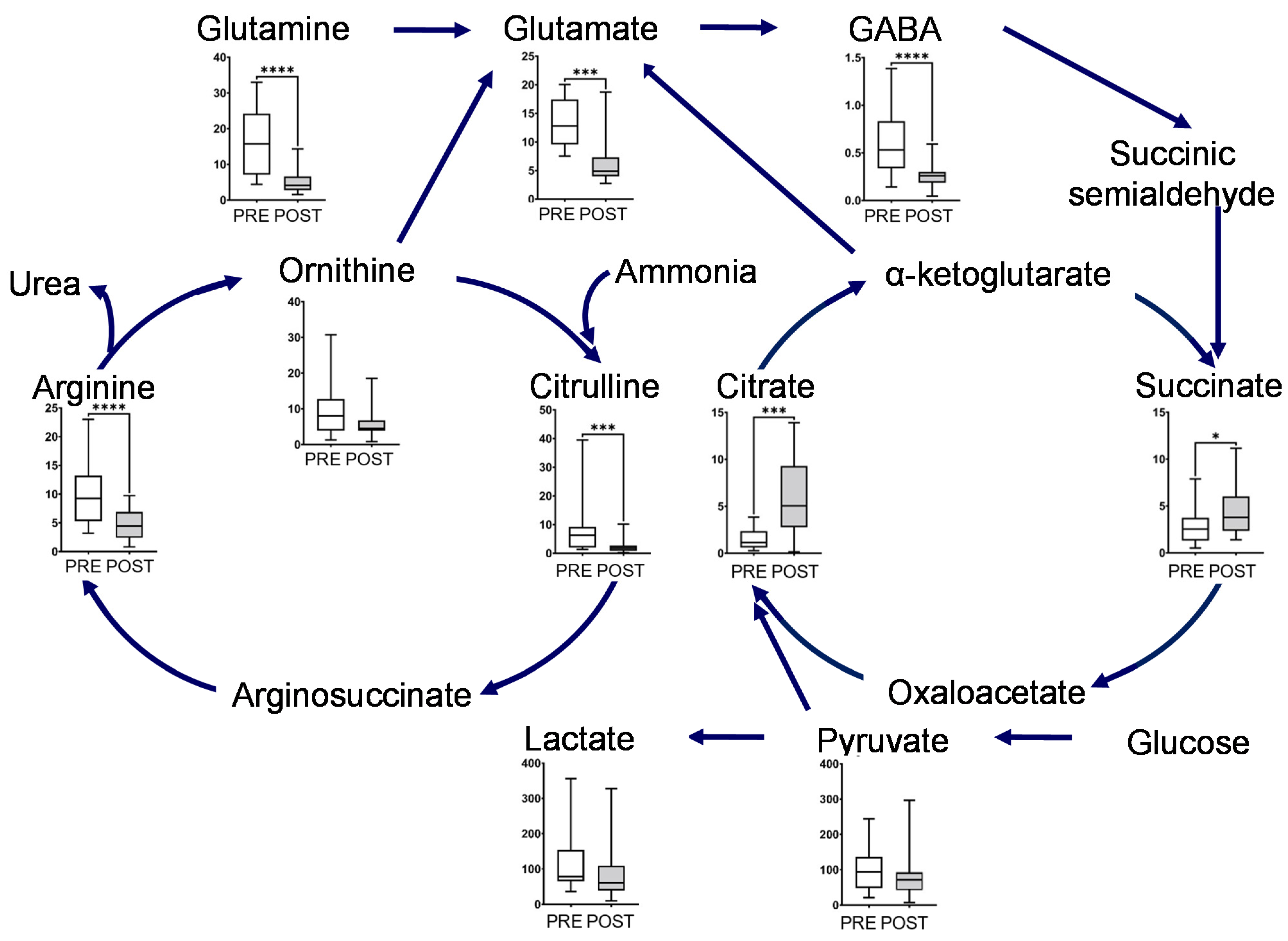 Metabolites 12 00660 g003 550