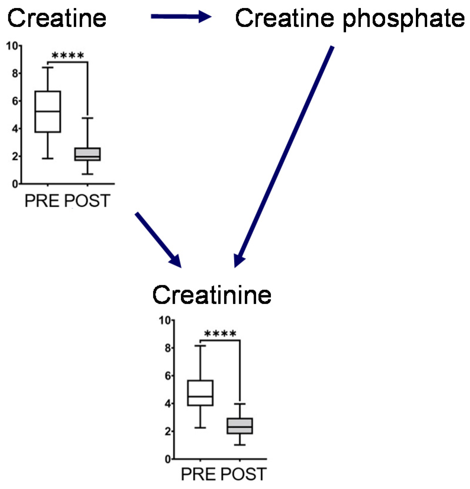 Metabolites 12 00660 g004 550