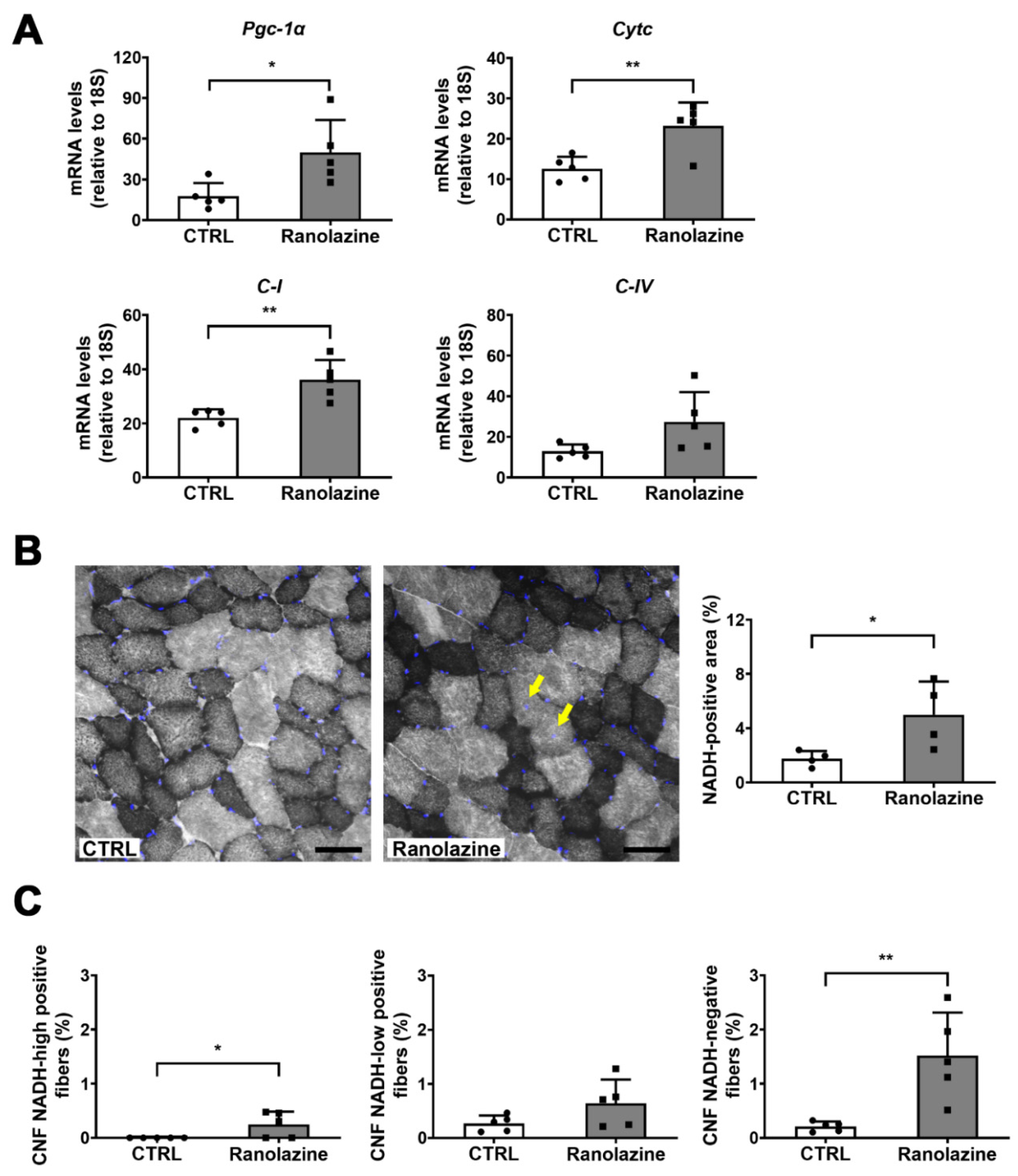 Metabolites 12 00663 g003
