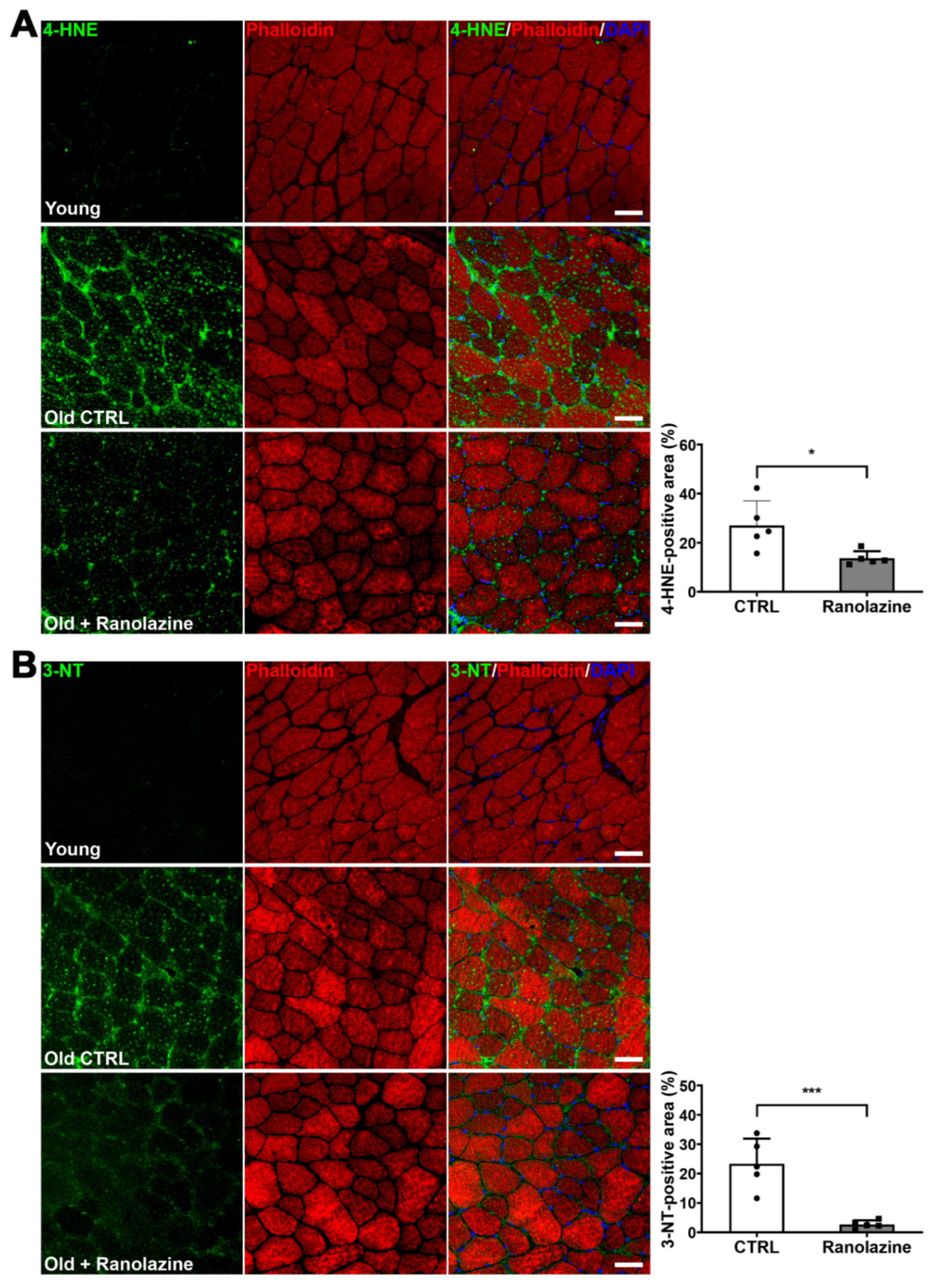Metabolites 12 00663 g004