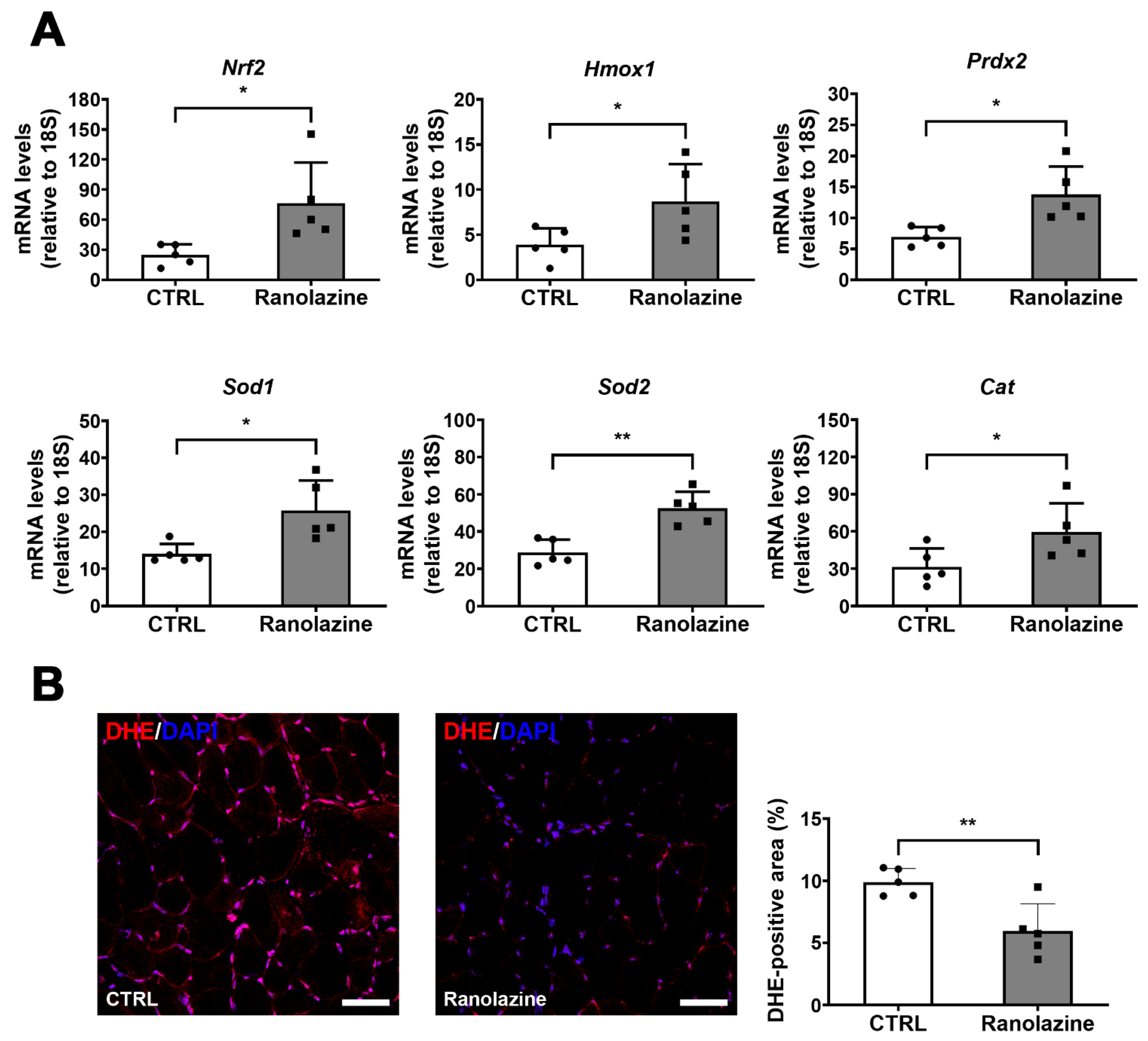 Metabolites 12 00663 g005
