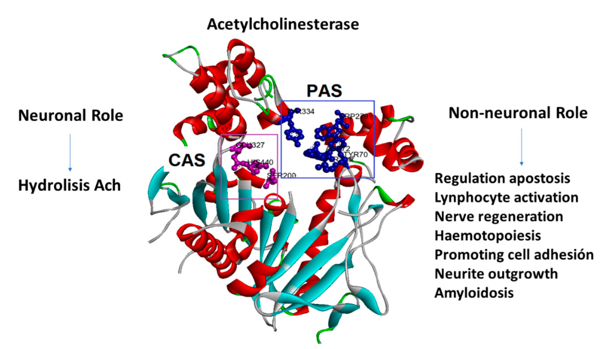Metabolites 12 00668 g001 550