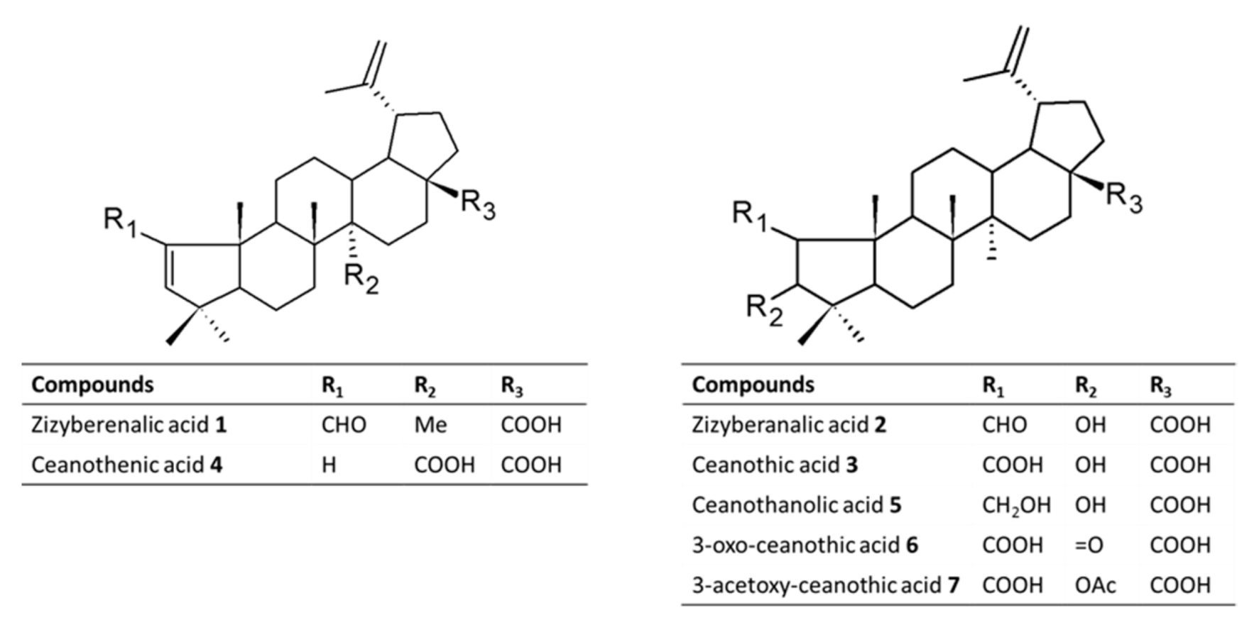 Metabolites 12 00668 g002 550