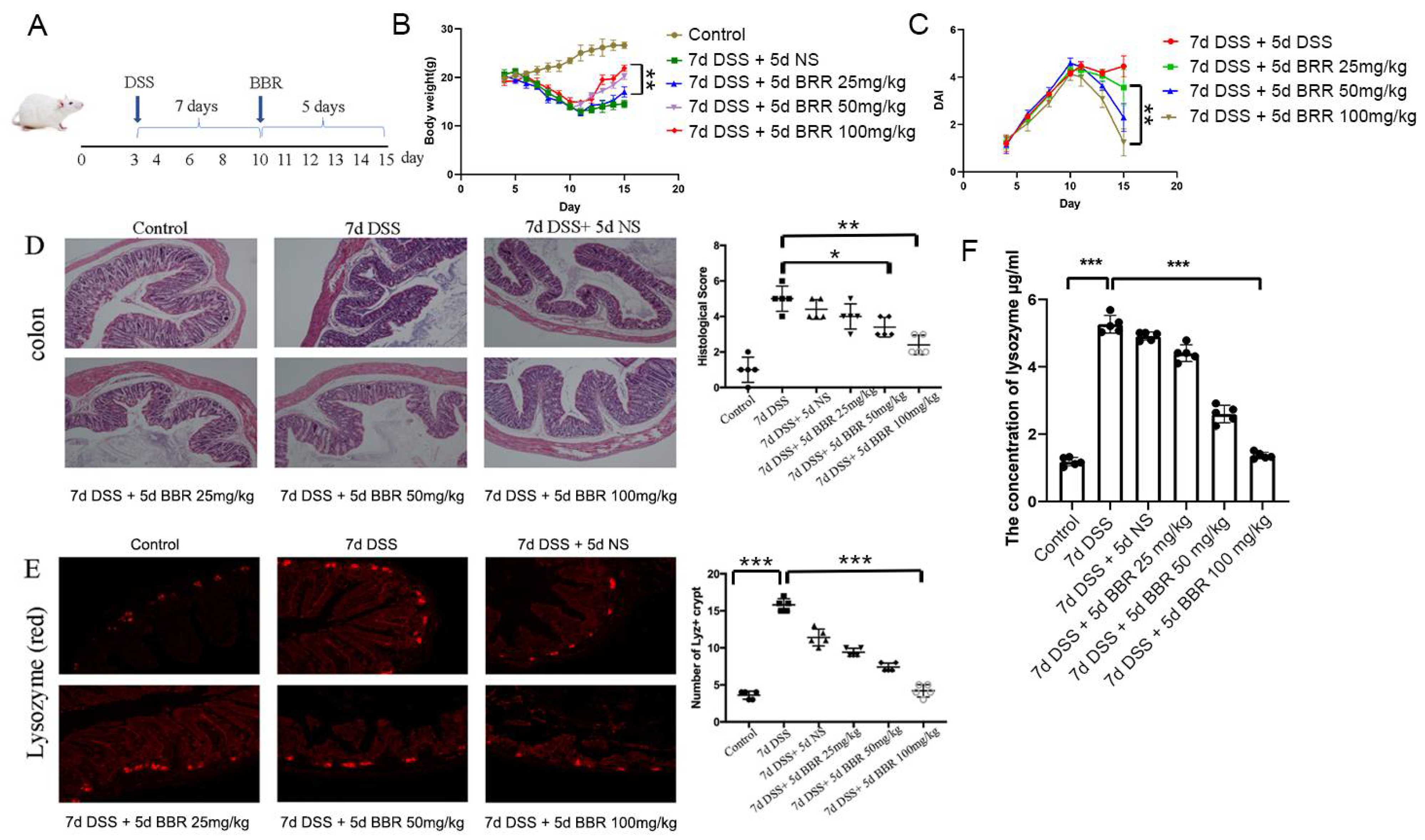 Metabolites 12 00676 g001