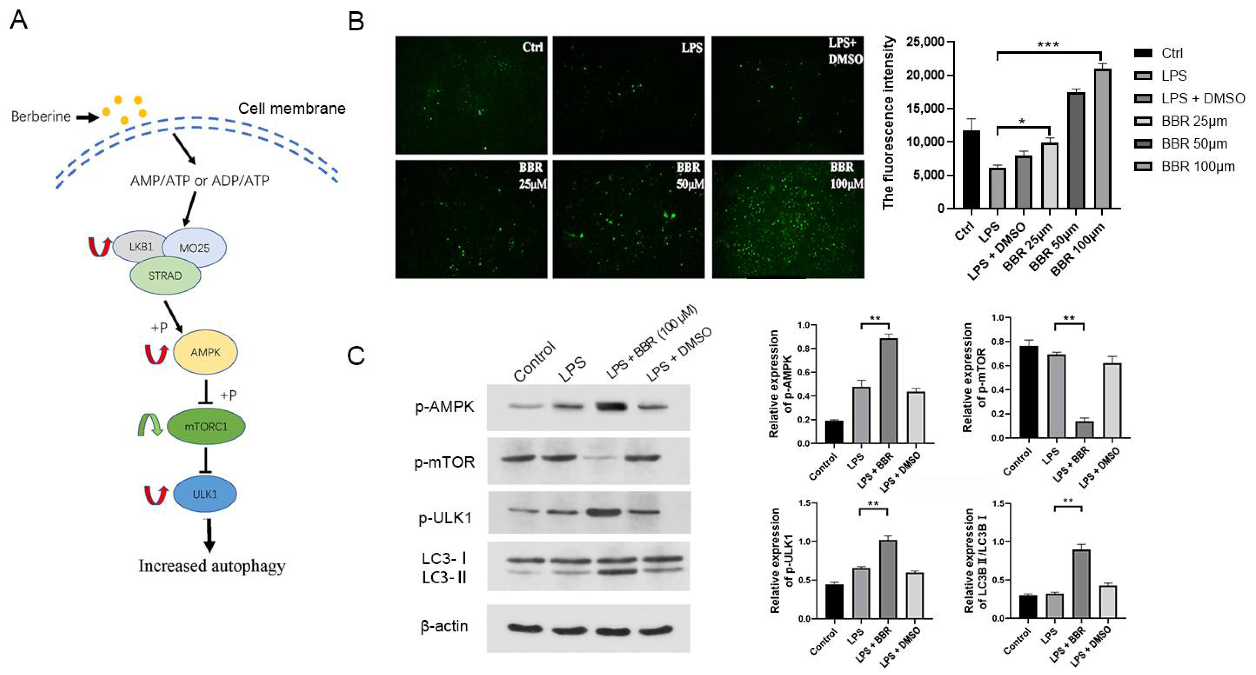 Metabolites 12 00676 g003
