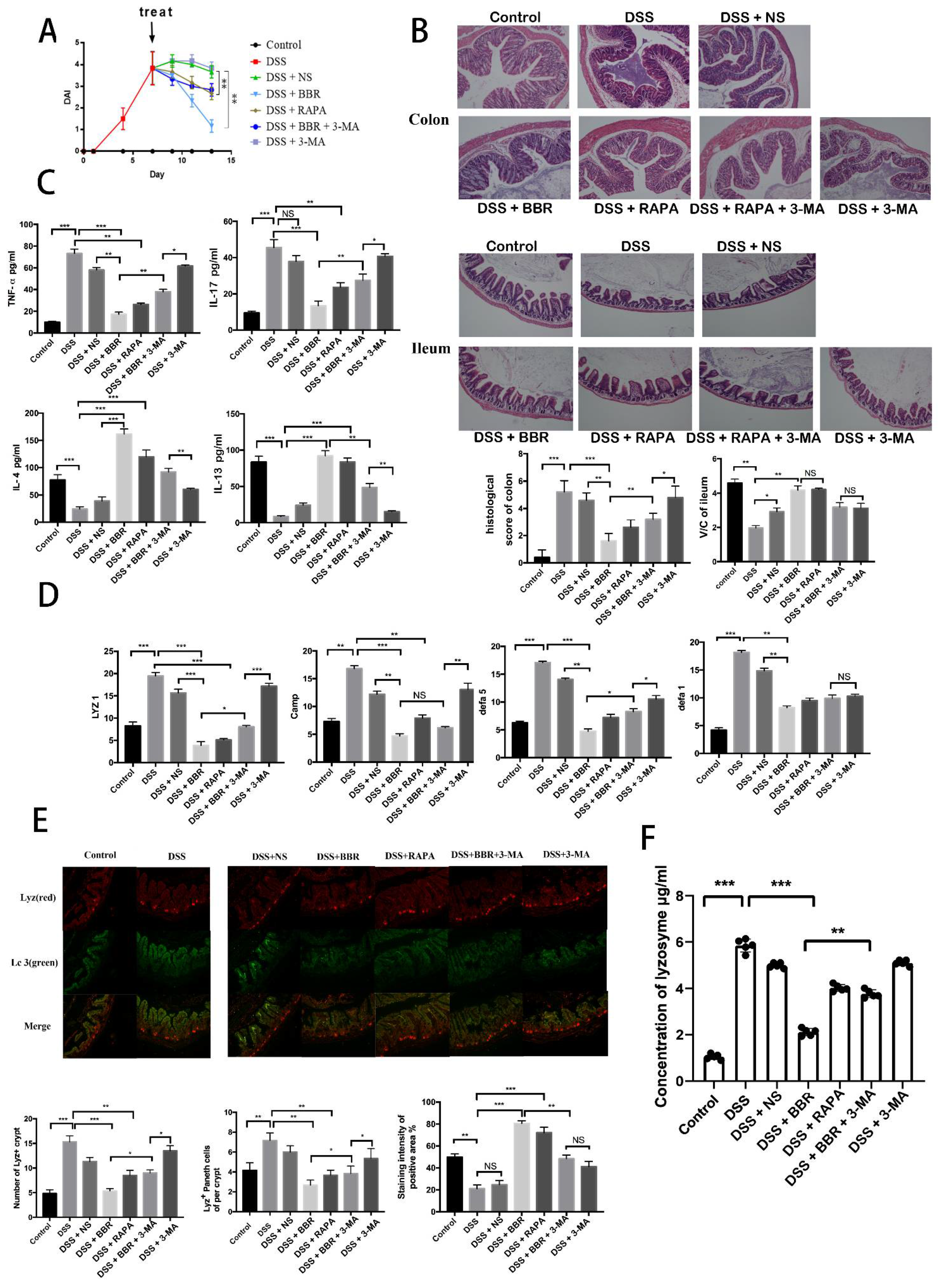 Metabolites 12 00676 g004