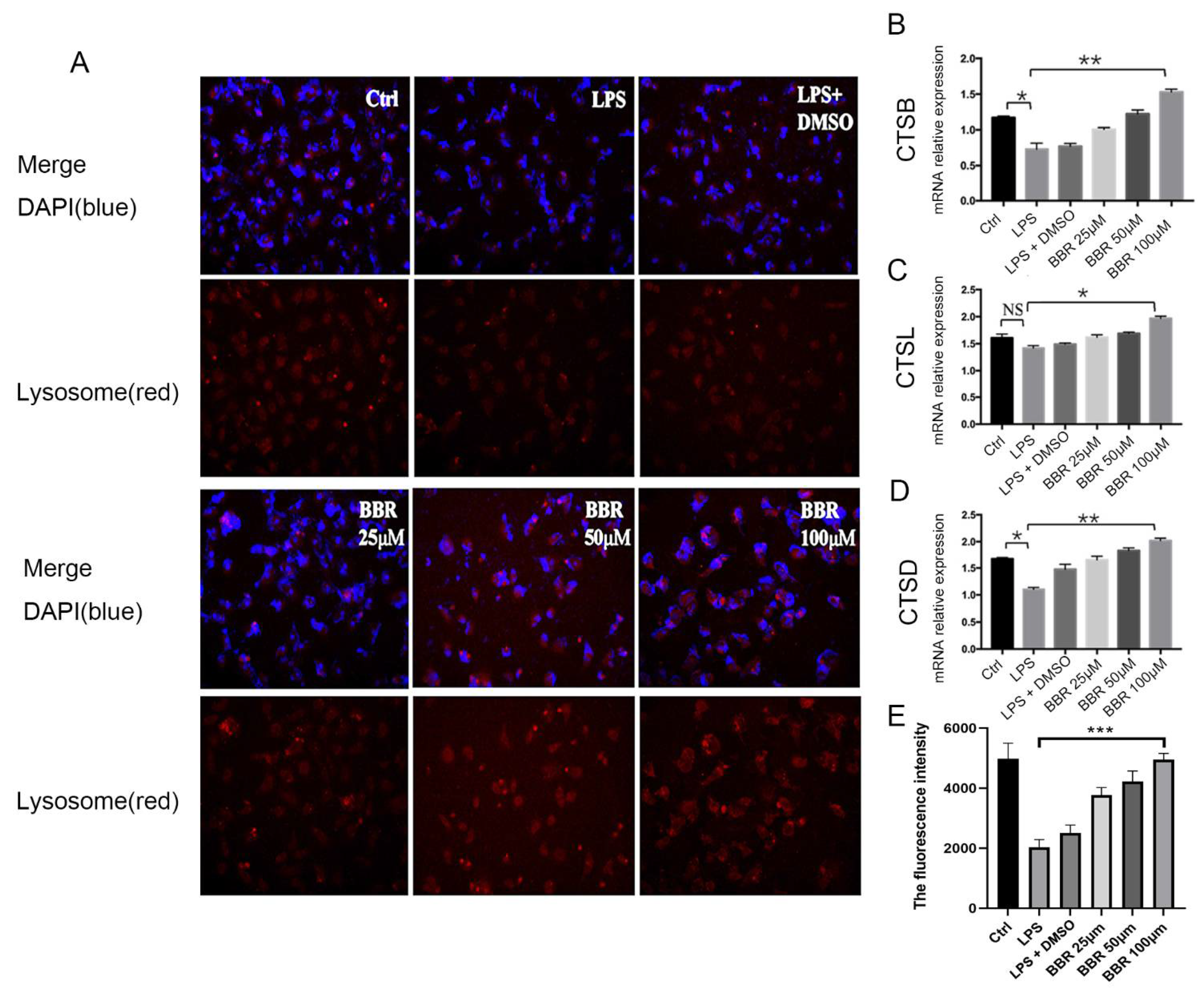 Metabolites 12 00676 g005