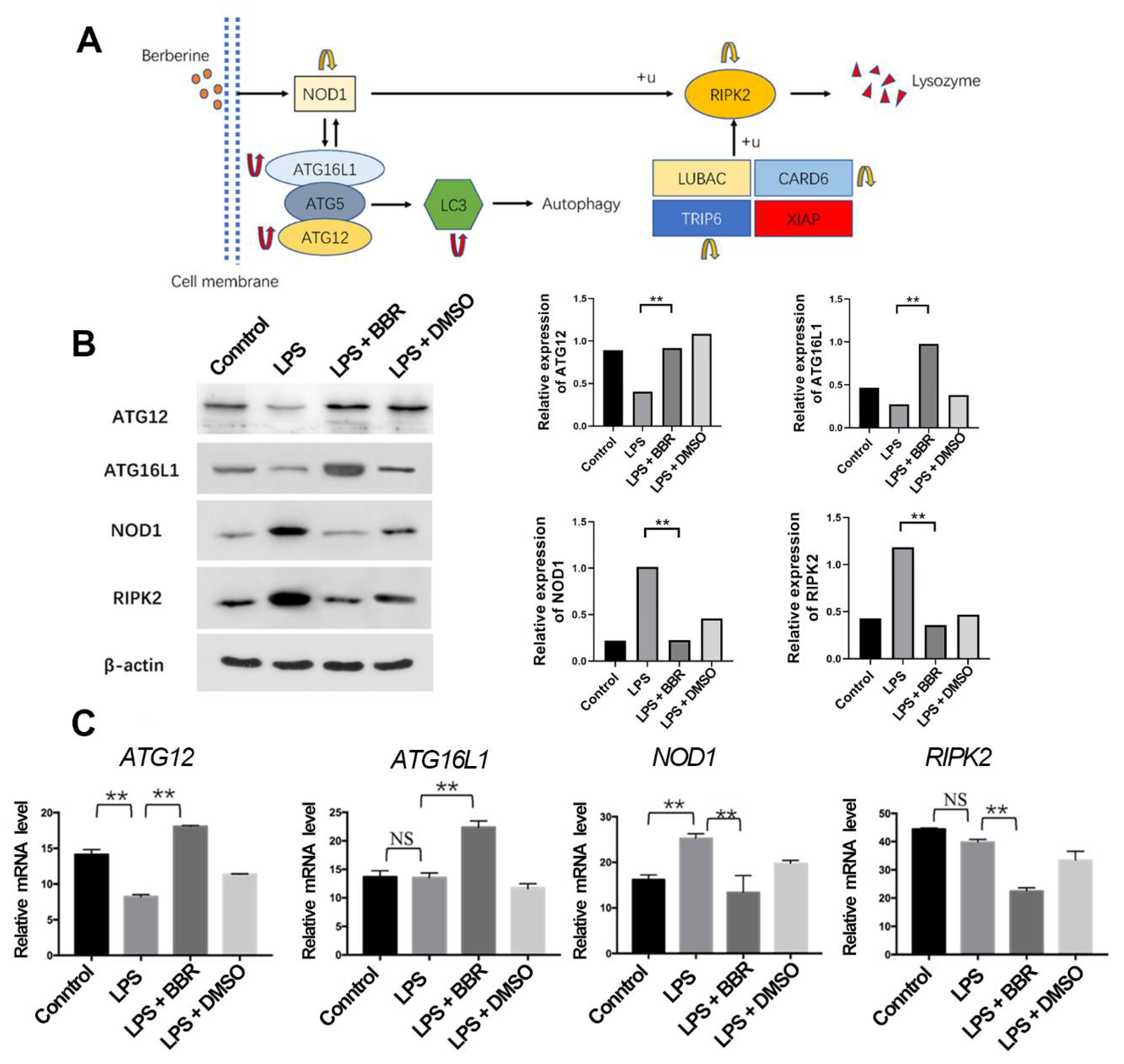 Metabolites 12 00676 g006