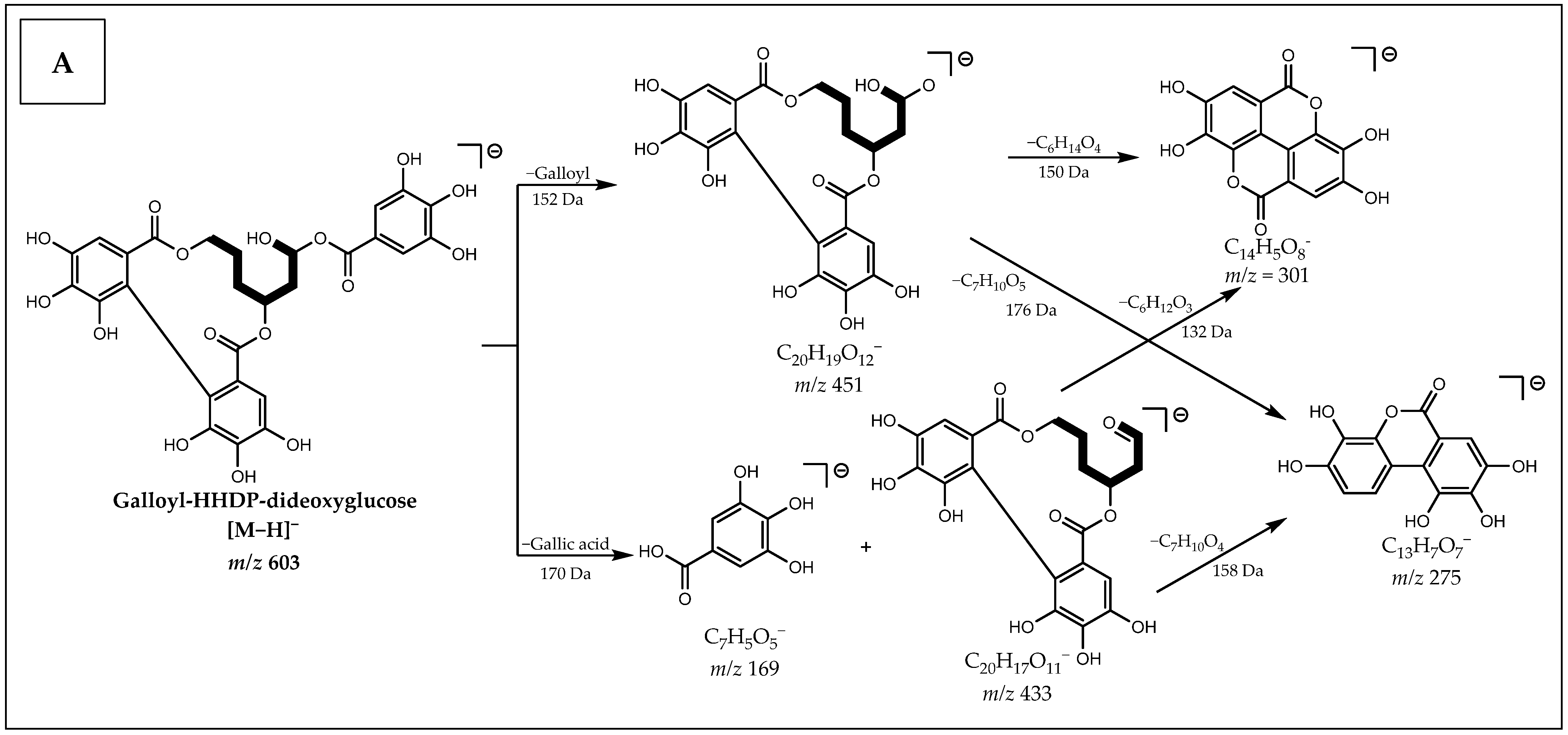 Metabolites 12 00681 g003a