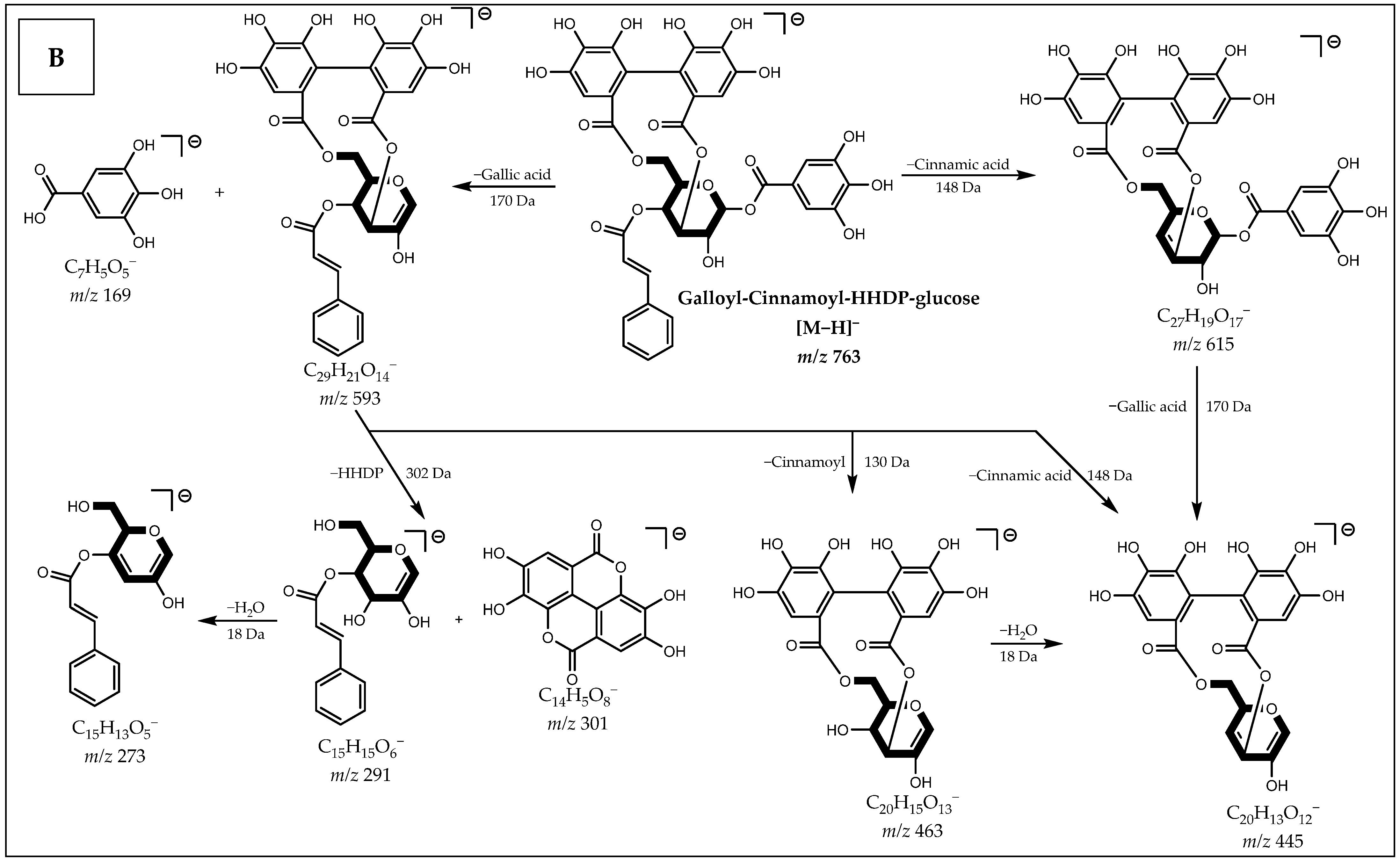 Metabolites 12 00681 g003b