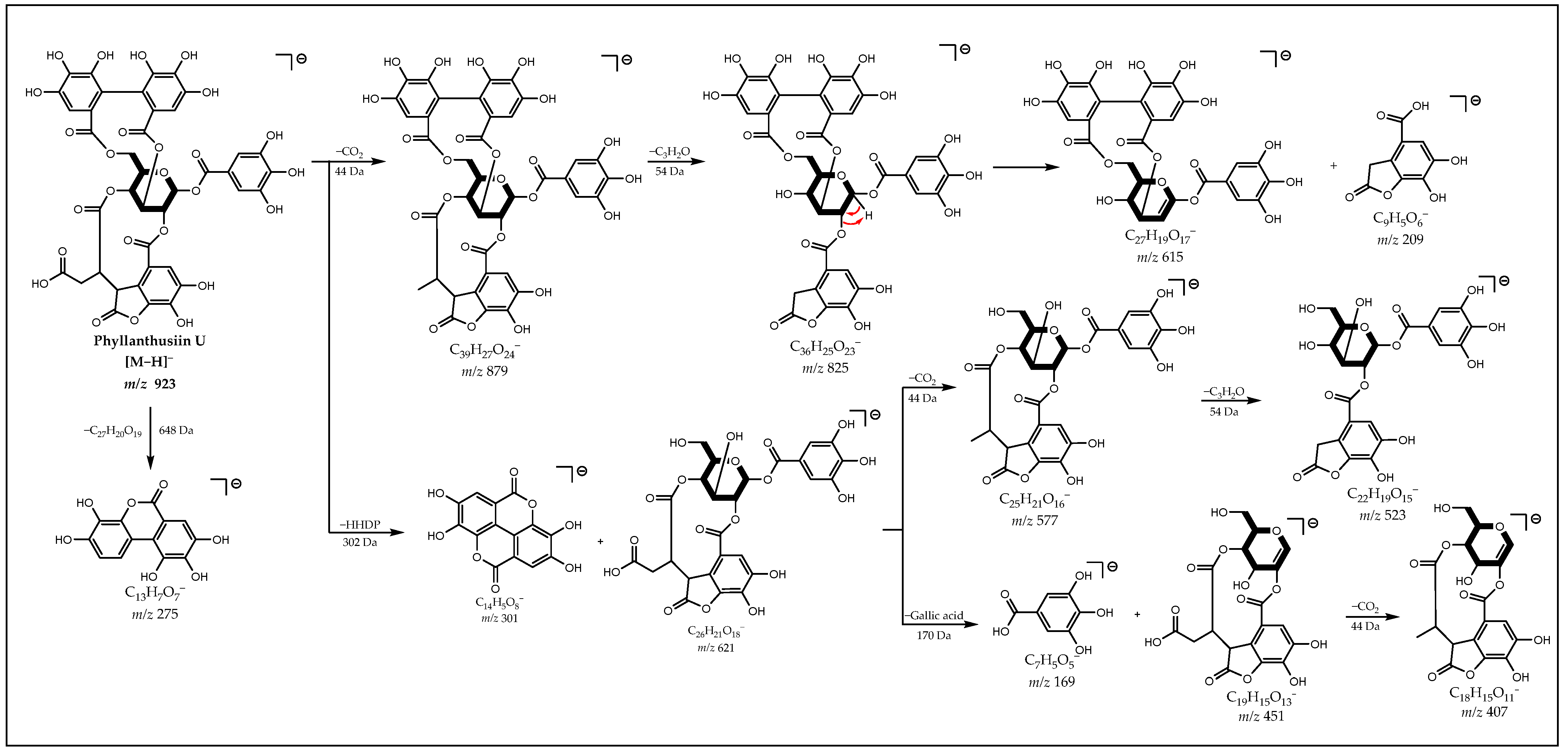 Metabolites 12 00681 g005