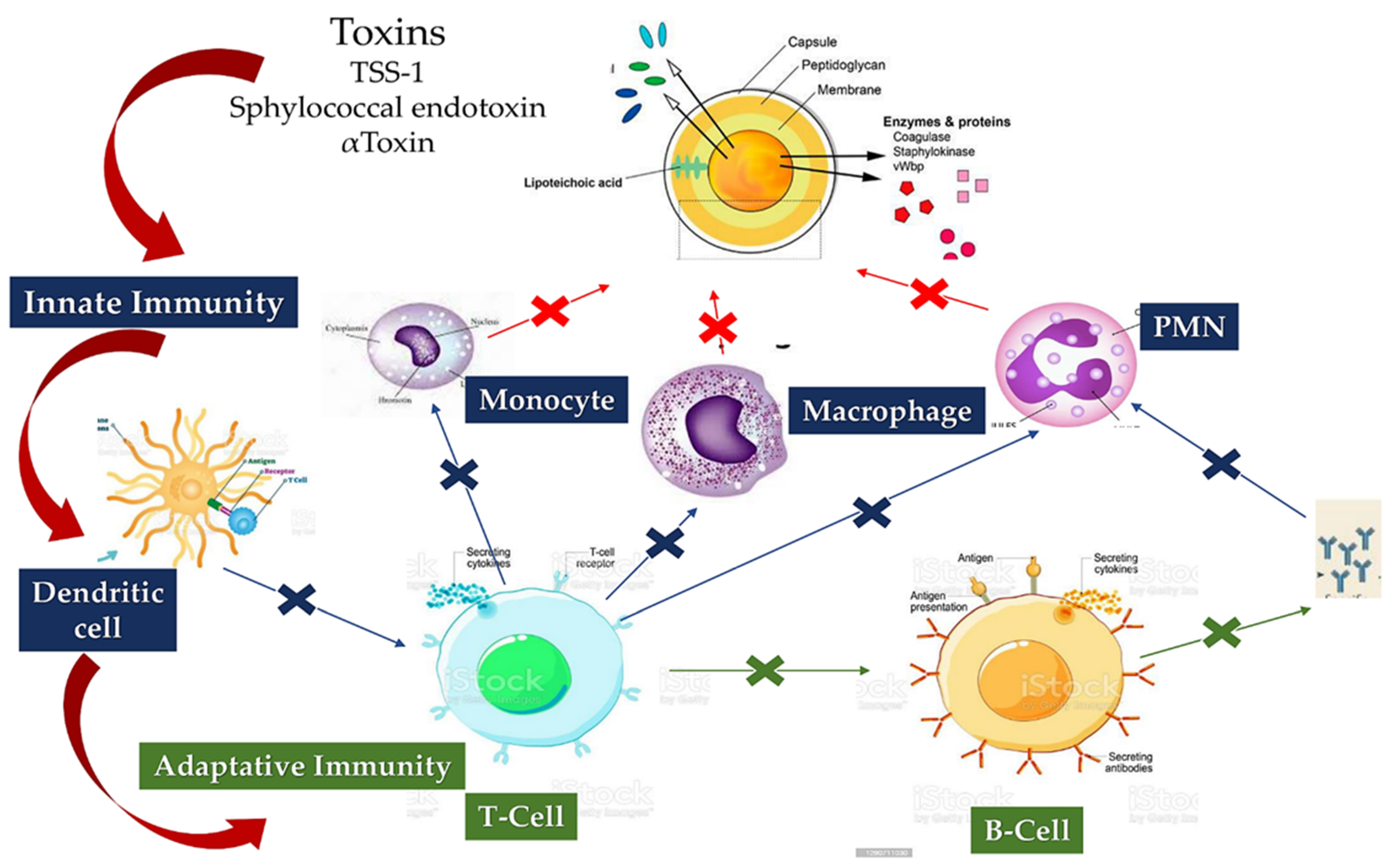 Metabolites 12 00682 g008