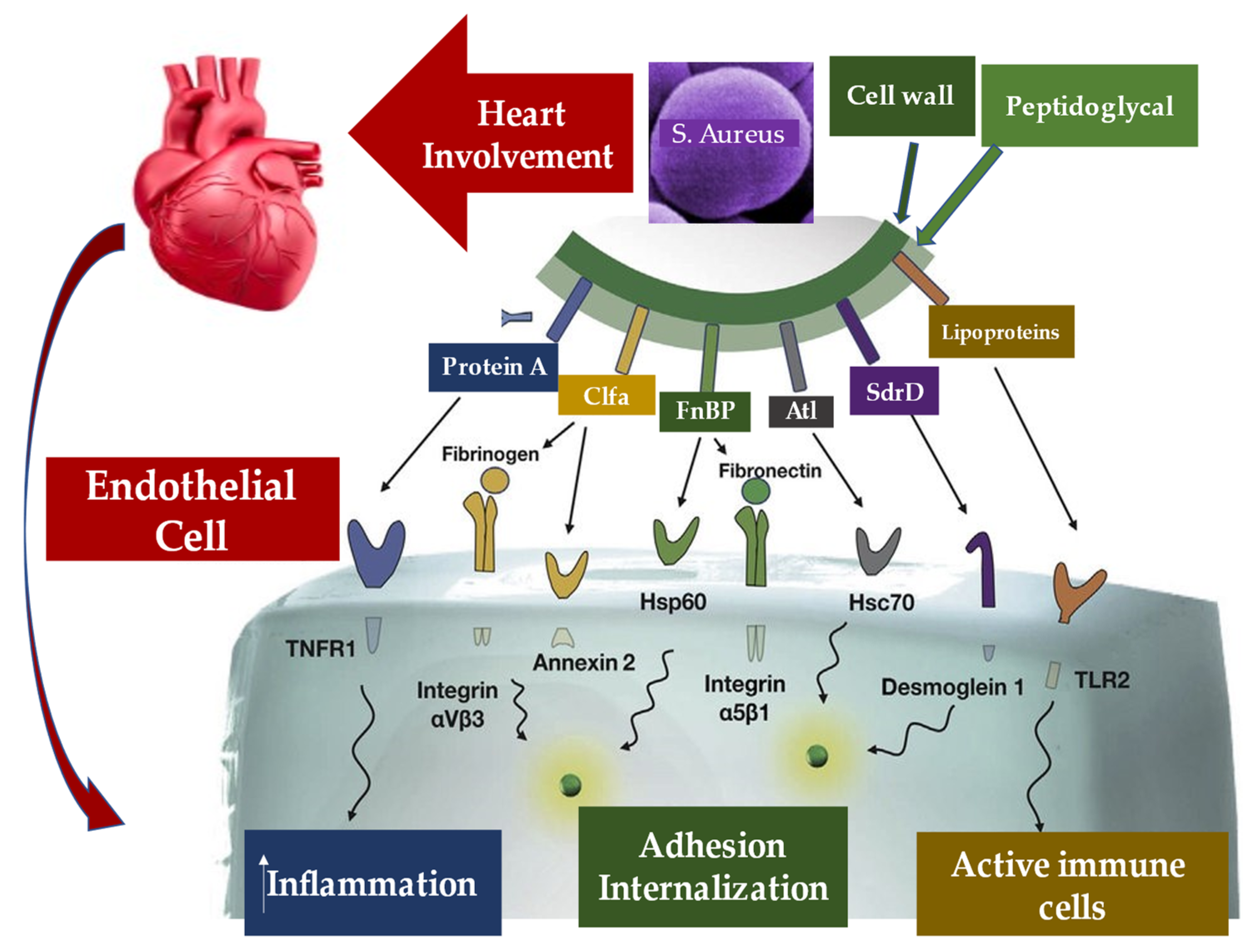 Metabolites 12 00682 g009