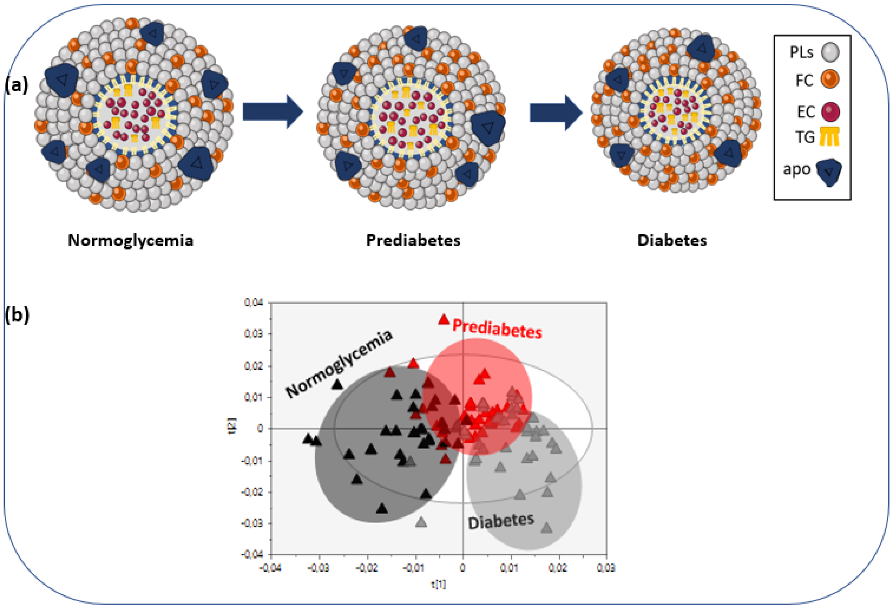 Metabolites 12 00683 g002