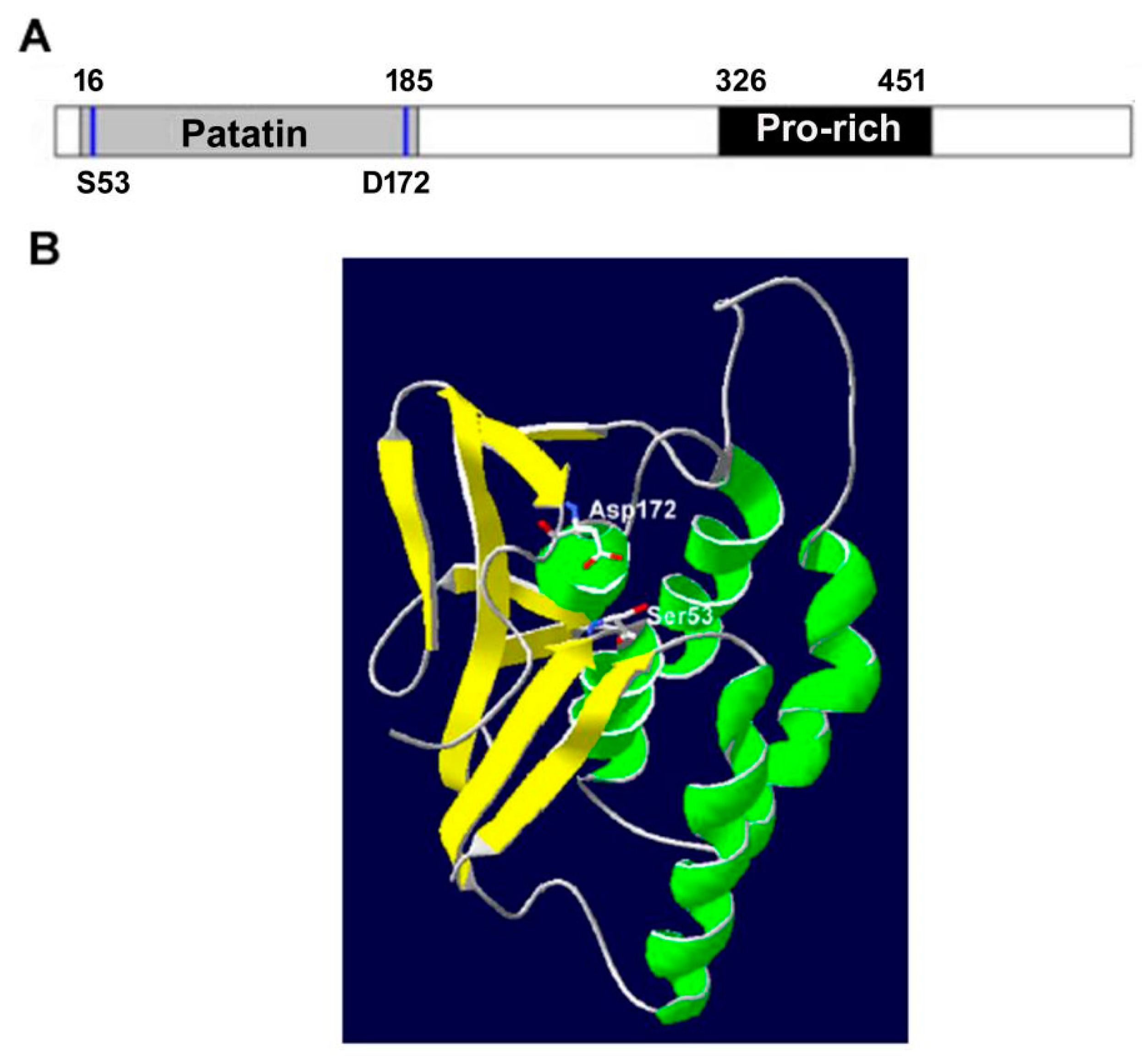Metabolites 12 00685 g001 550
