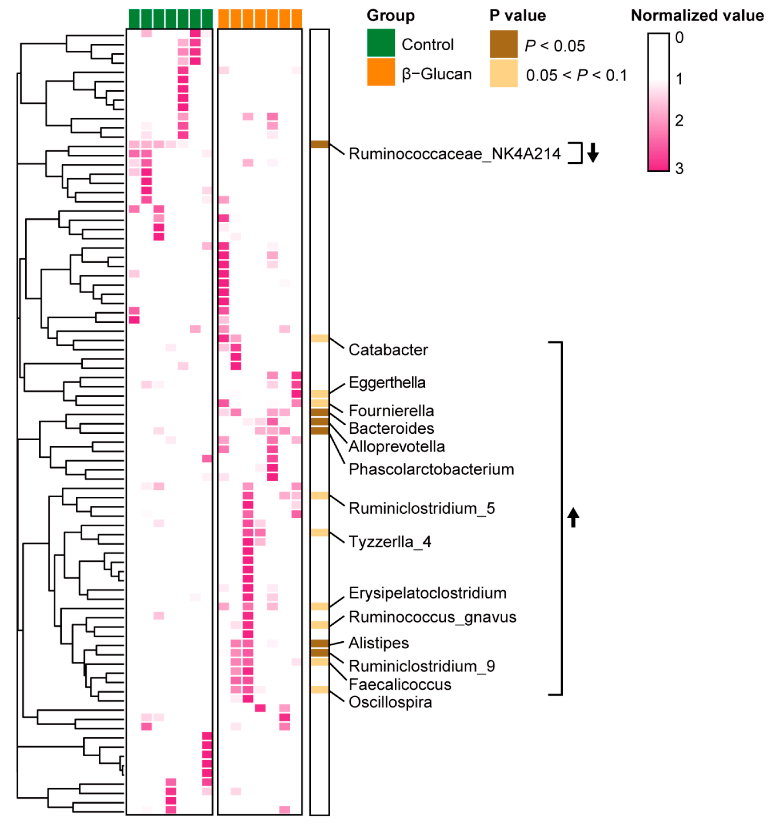 Metabolites 12 00687 g003