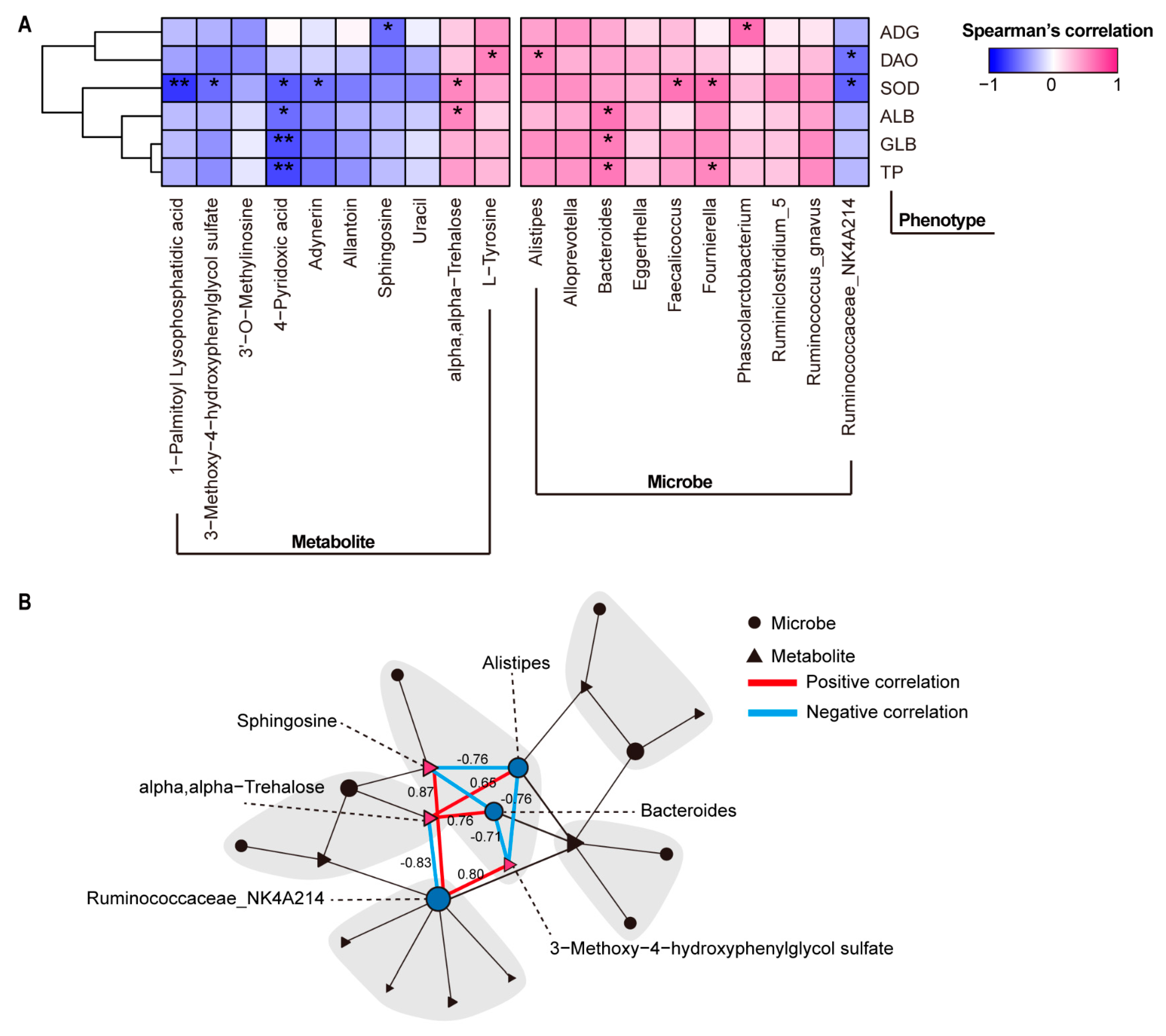 Metabolites 12 00687 g006