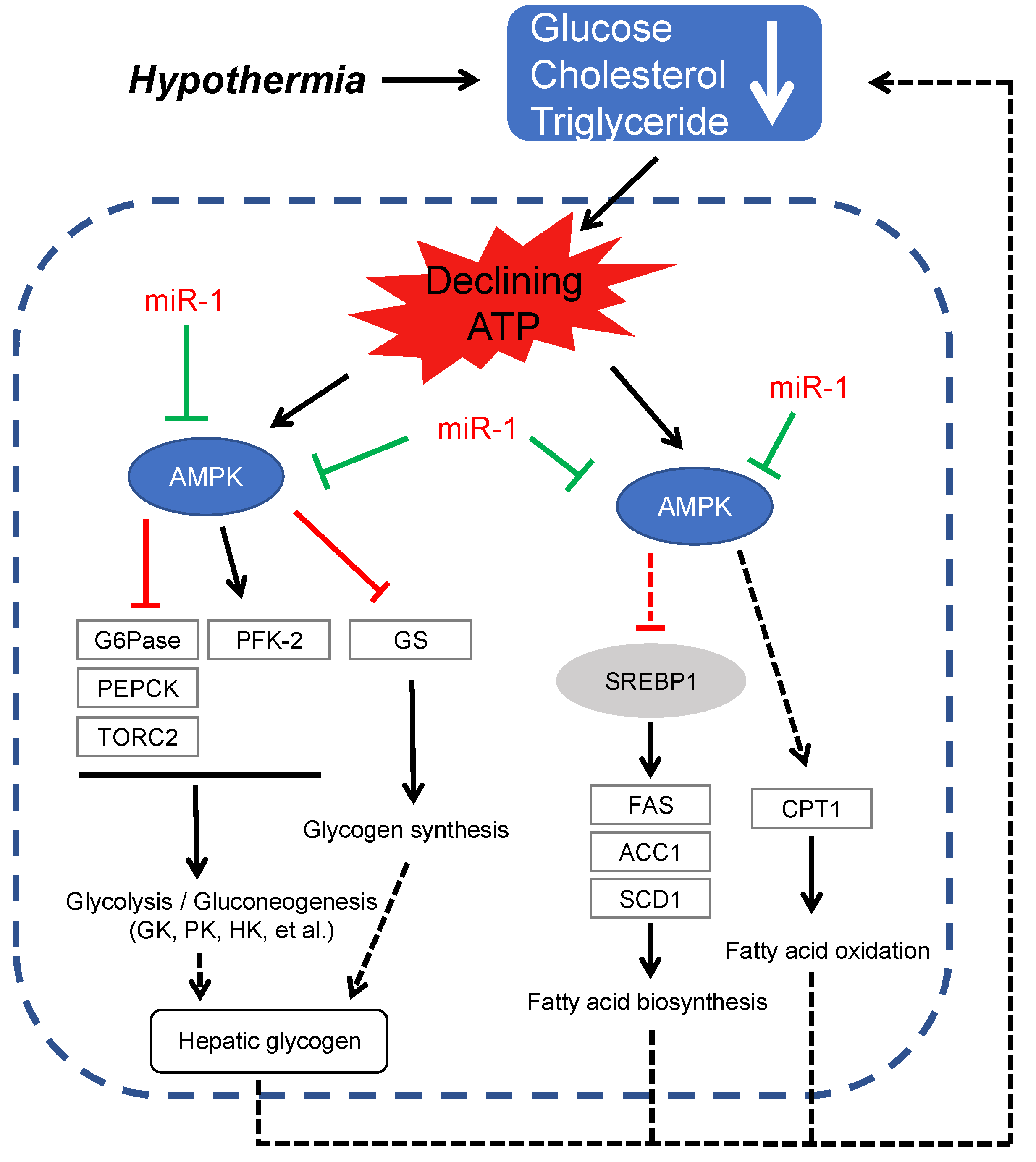 Metabolites 12 00697 g009 Metabolites 12 00697 g009