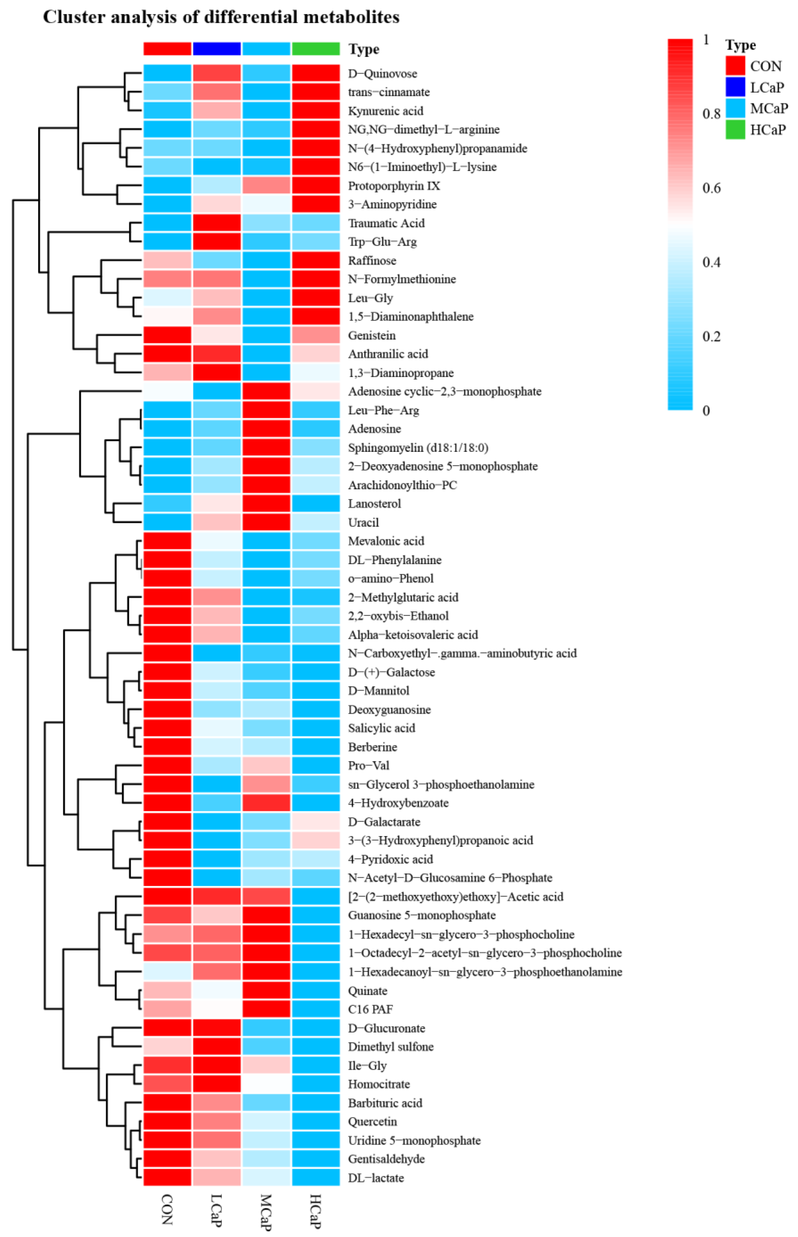 Metabolites 12 00699 g003
