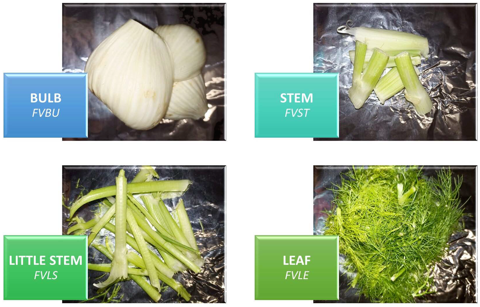Metabolites 12 00701 g003