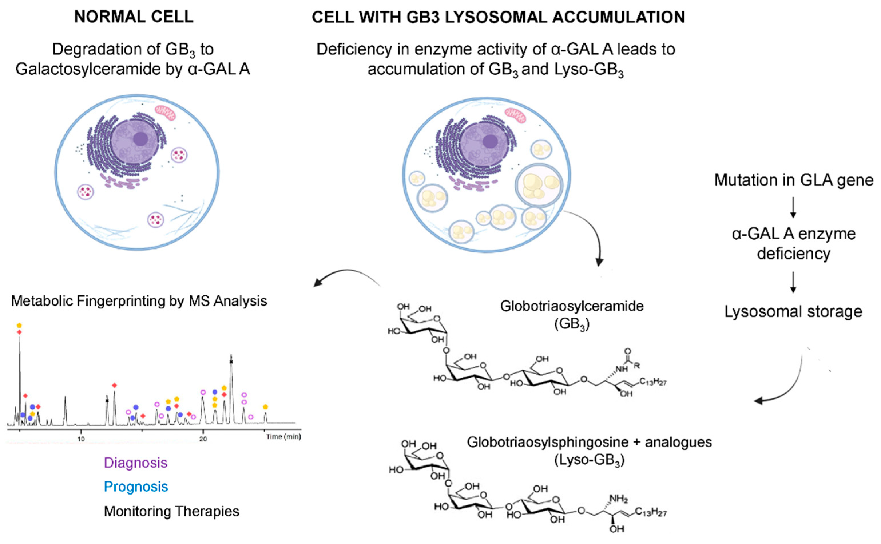 Metabolite Toxicity as a Driver of Aging and Disease — THE HUGHES LAB