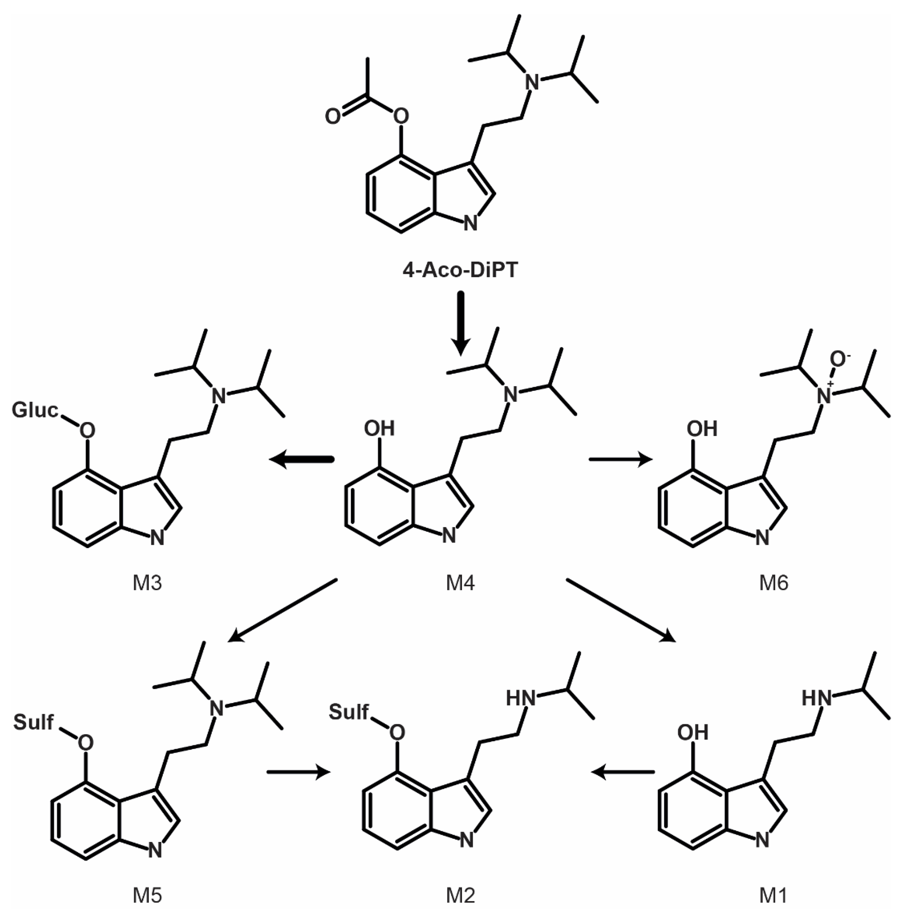 Metabolites 12 00705 g002