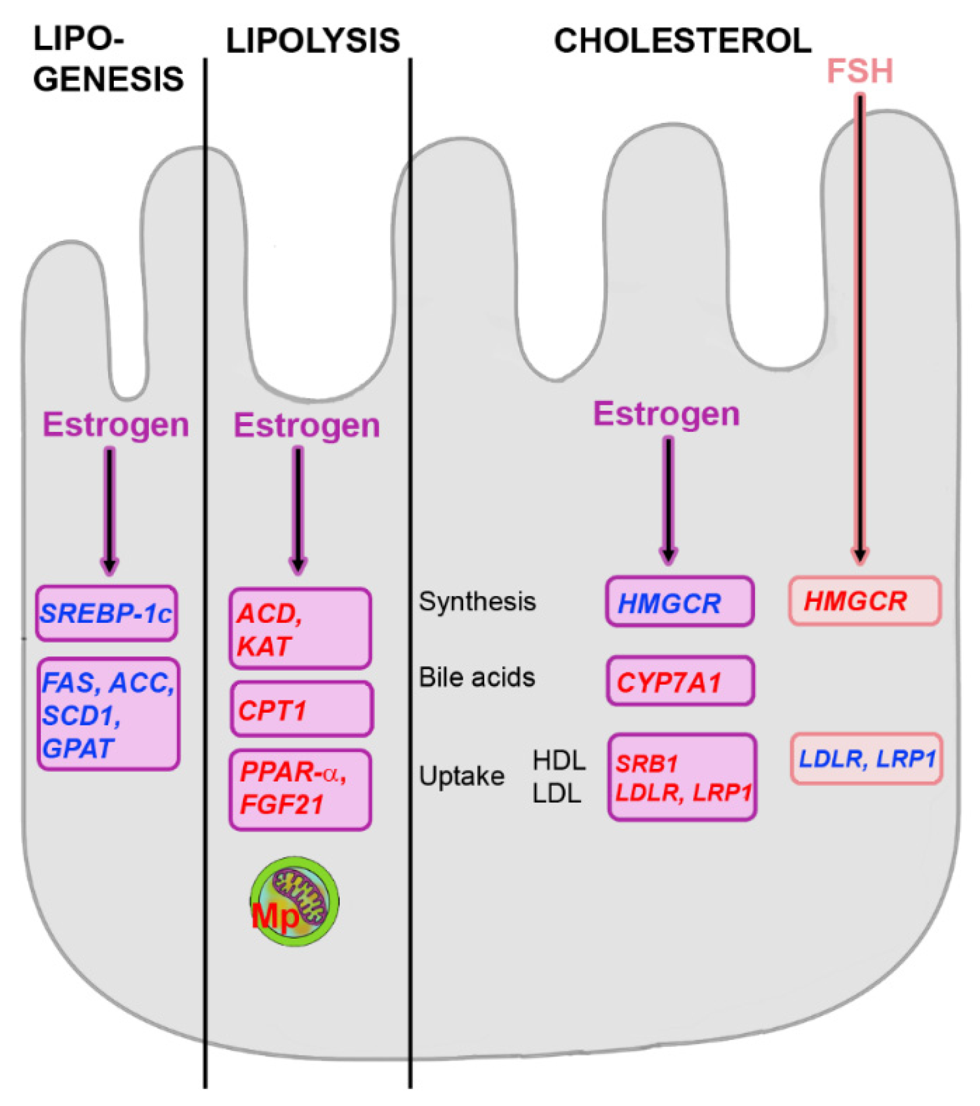 Metabolites 12 00718 g004