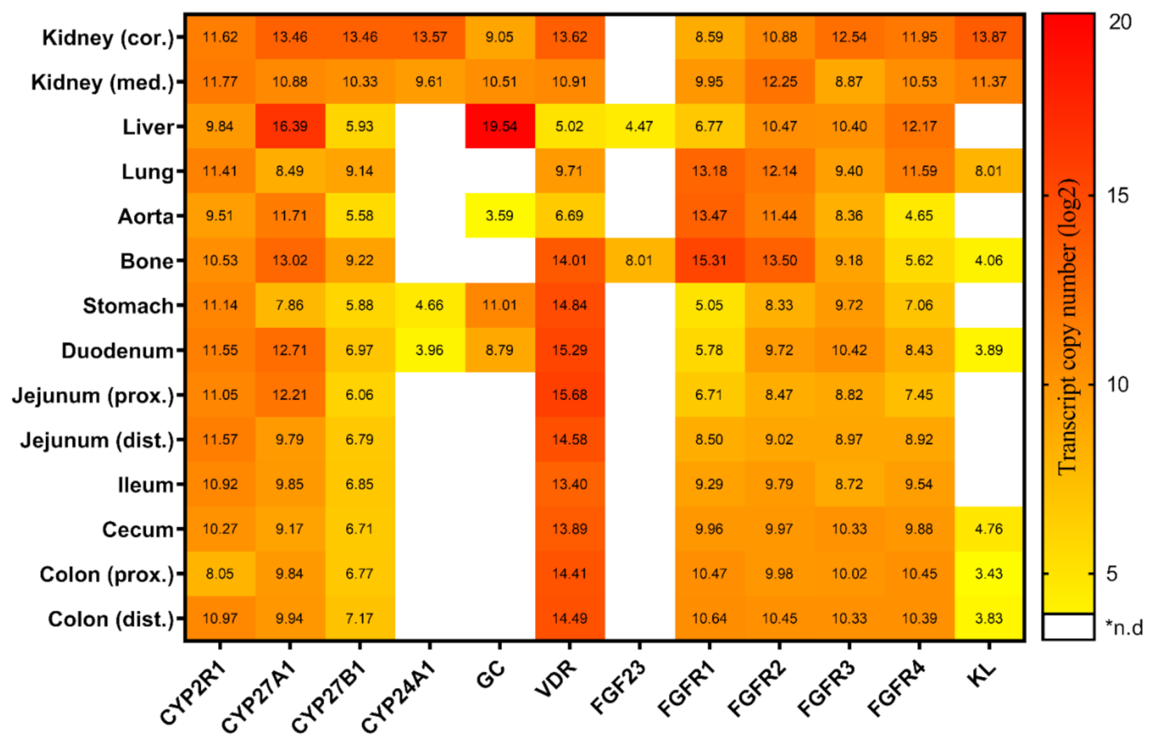 Metabolites 12 00729 g001 550