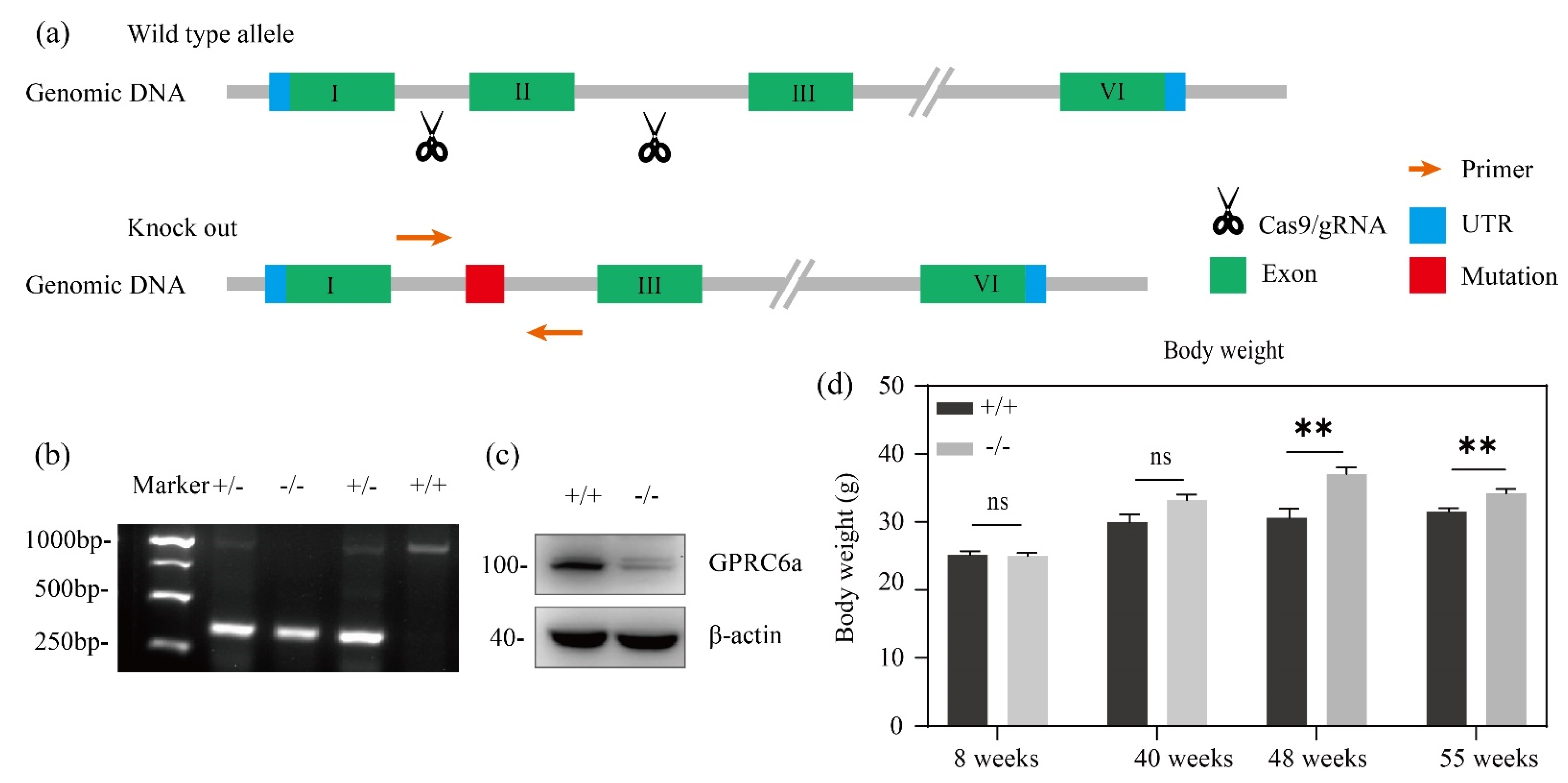 Metabolites 12 00740 g001