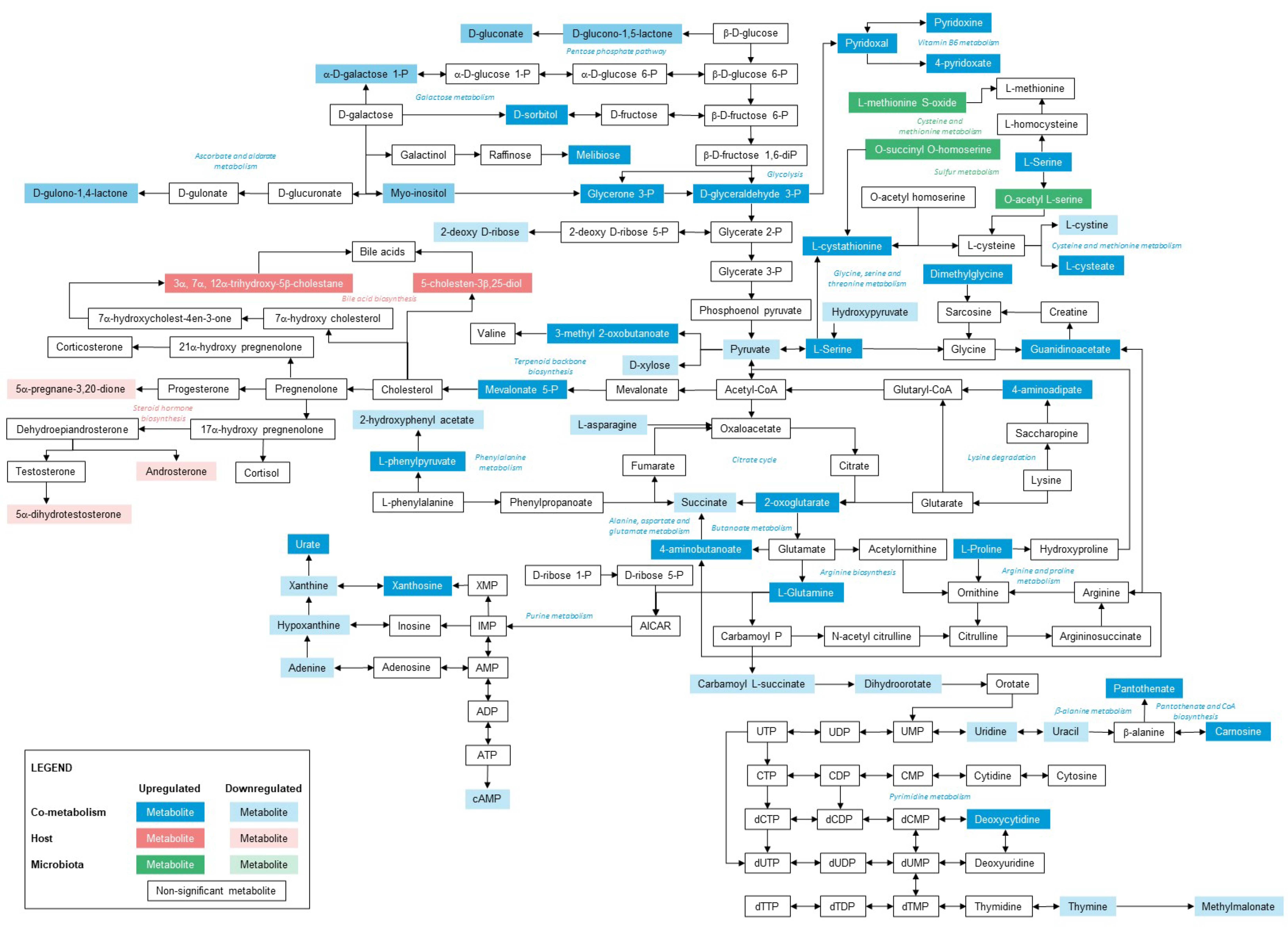 Metabolites 12 00747 g007 Metabolites 12 00747 g007