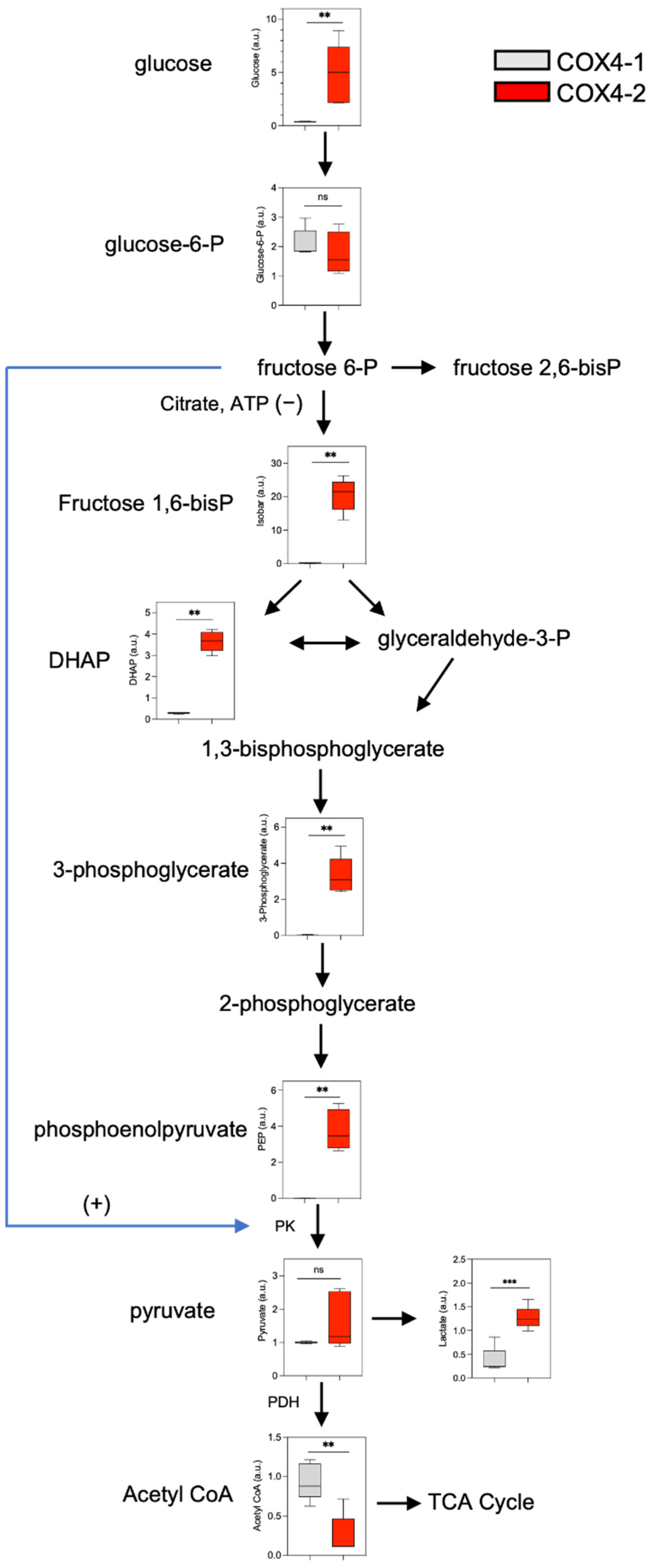 Metabolites 12 00748 g002