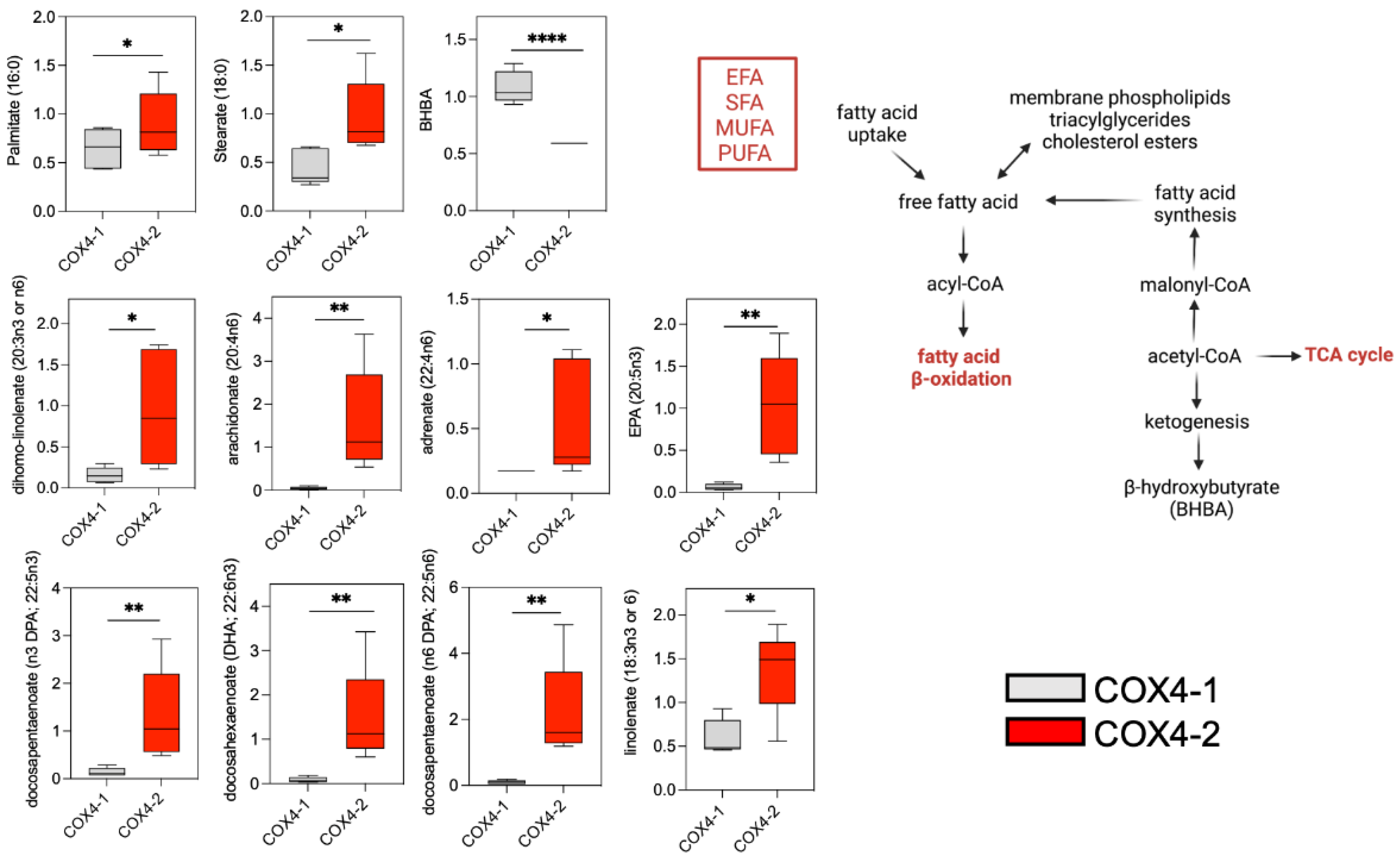 Metabolites 12 00748 g004