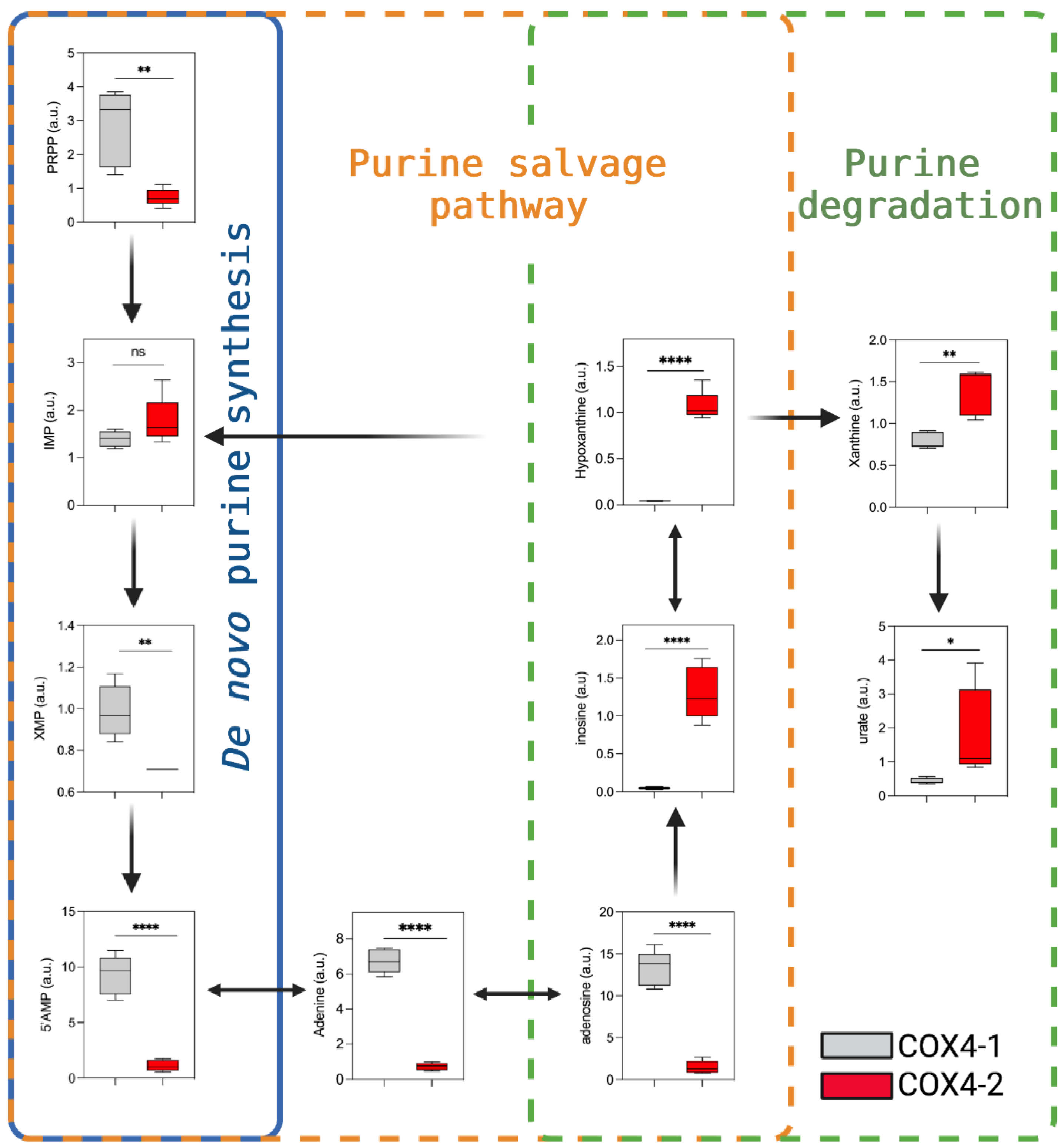 Metabolites 12 00748 g006