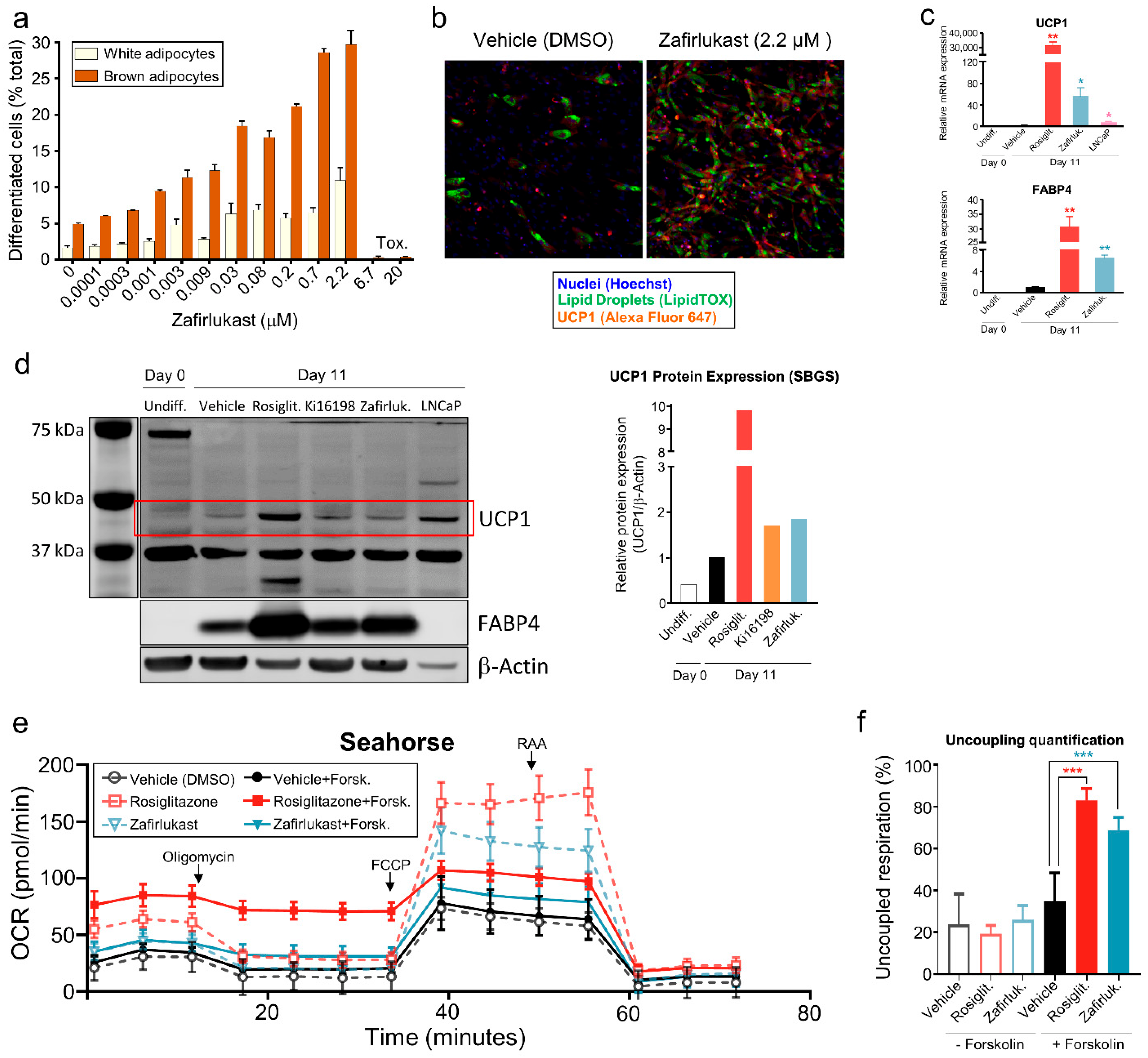 Metabolites 12 00749 g002