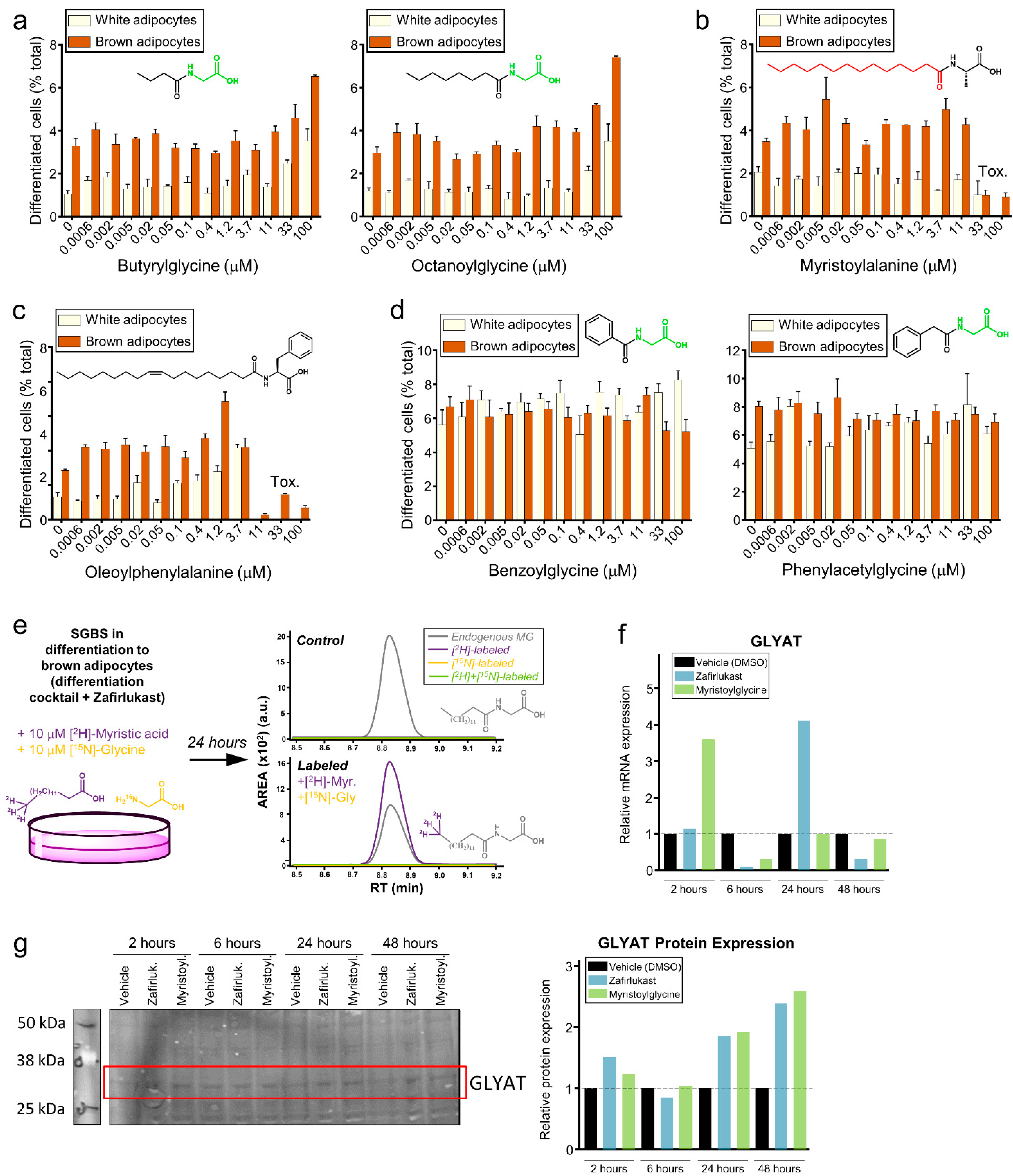 Metabolites 12 00749 g004