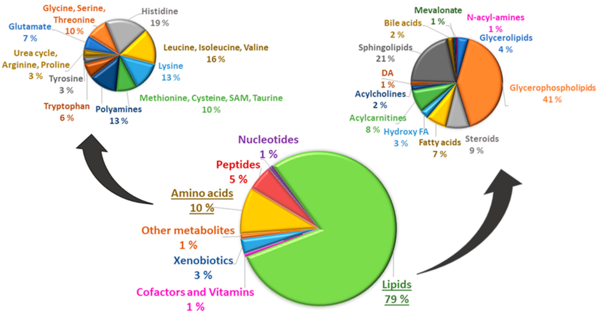Metabolites 12 00753 g001