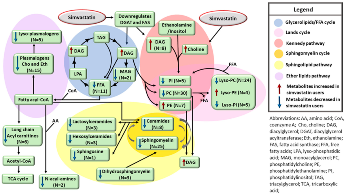 Metabolites 12 00753 g003