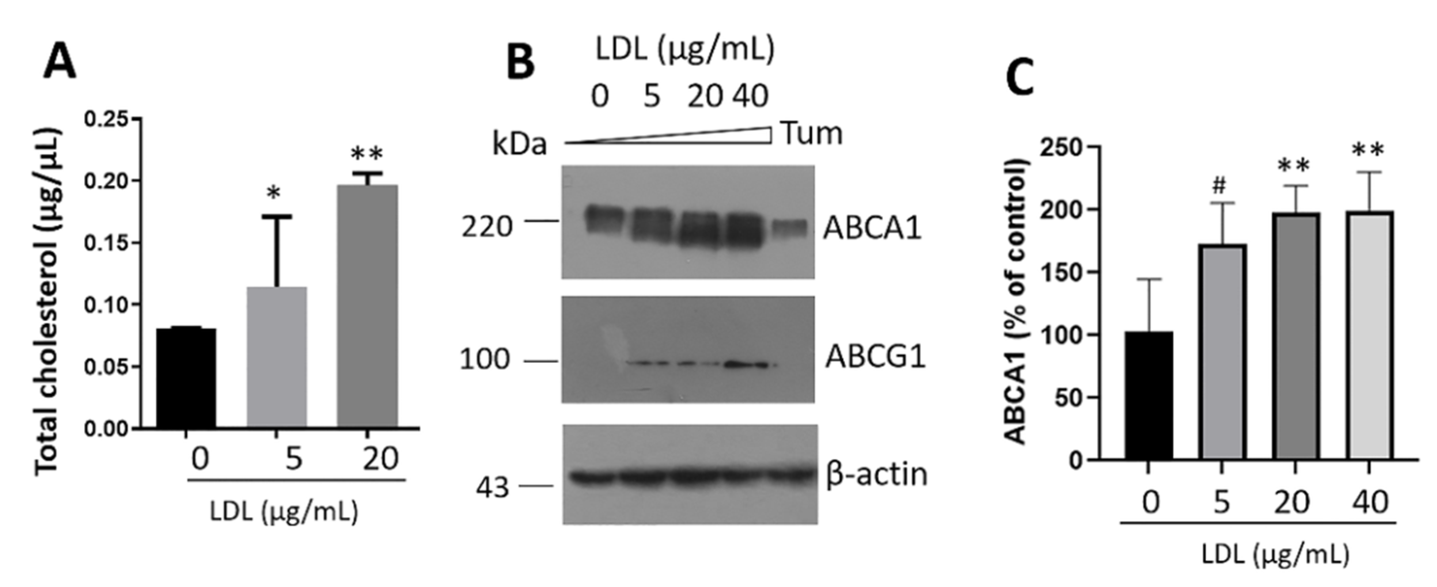 Metabolites Free Full Text Ldl Promotes Disorders In Beta Cell Cholesterol Metabolism Implications On Insulin Cellular Communication Mediated By Evs Html