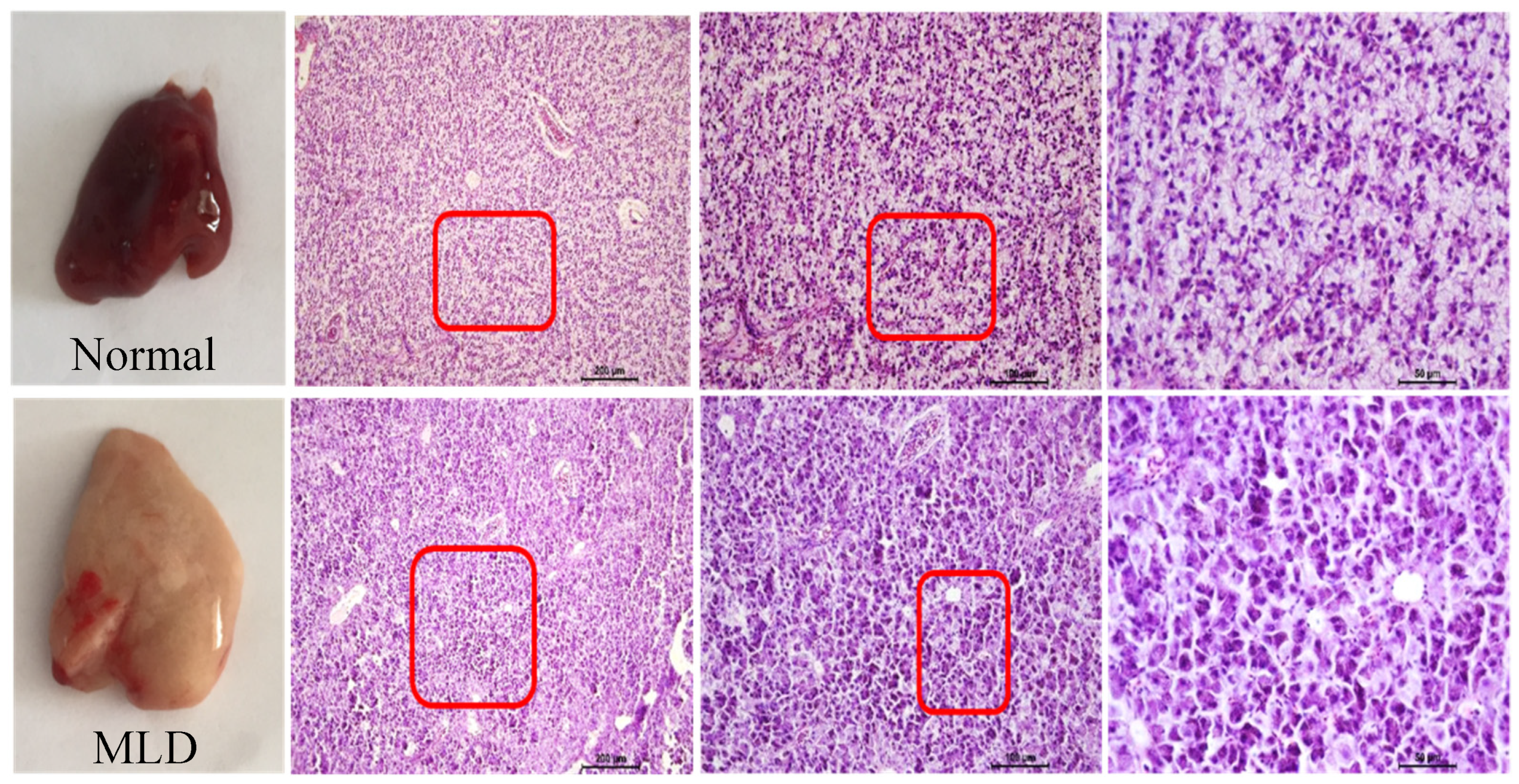 Metabolites 12 00759 g001