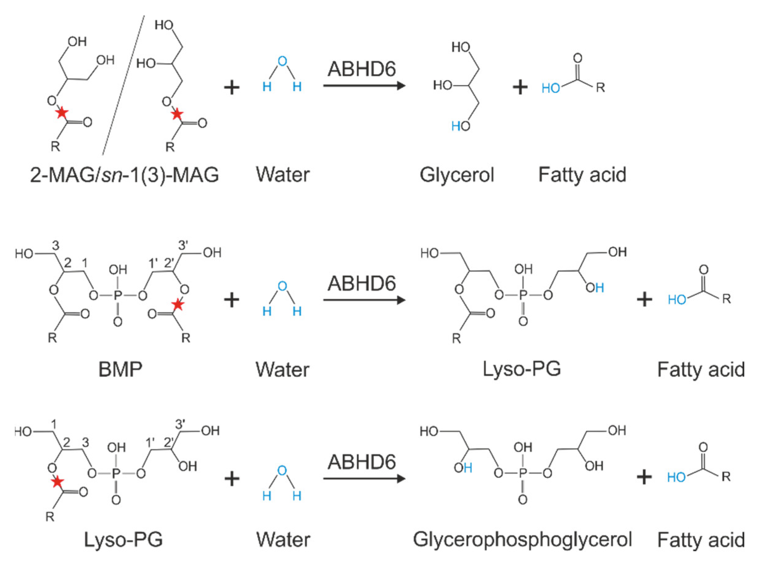 Metabolites 12 00761 g004