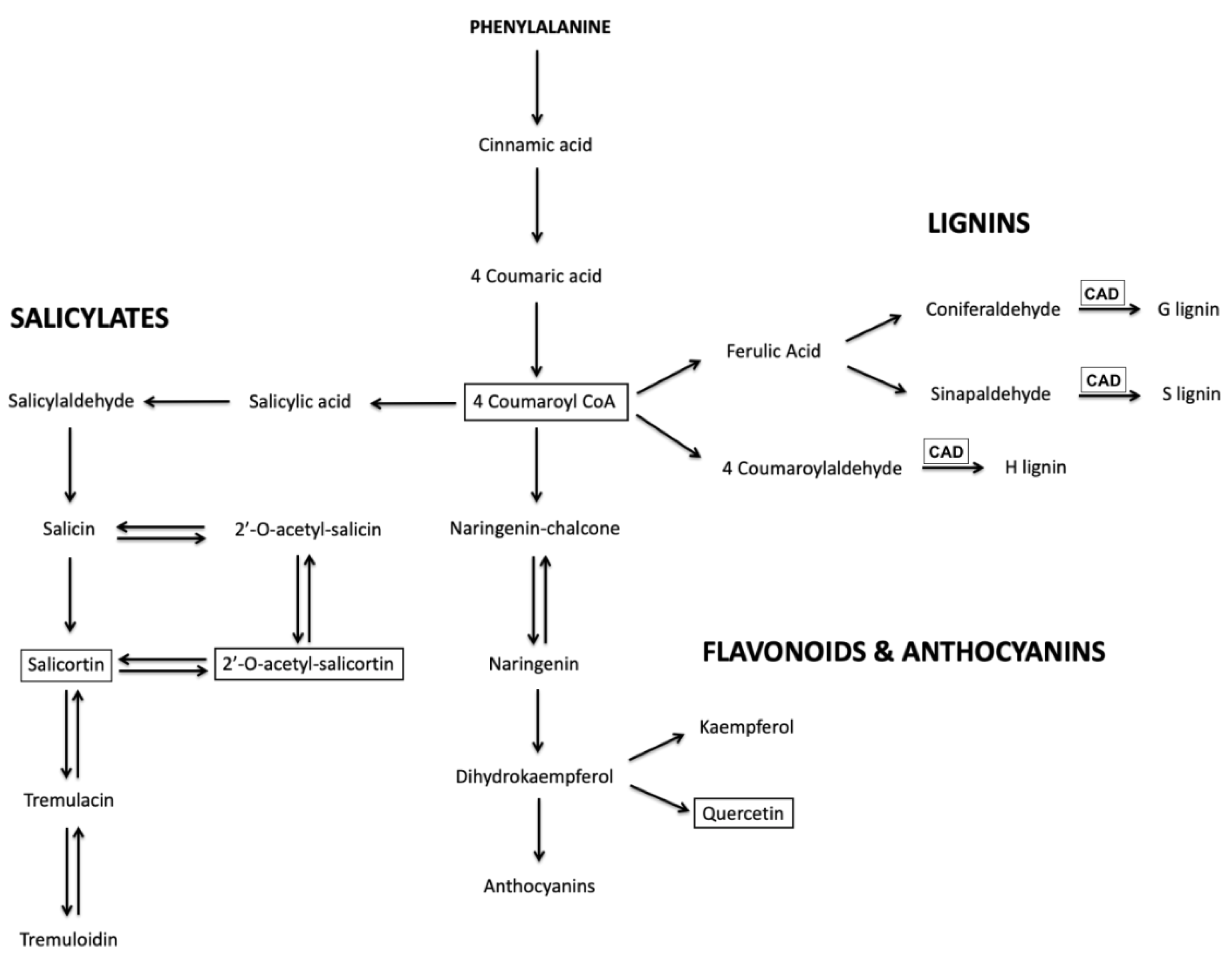 Metabolites 12 00767 g006 550